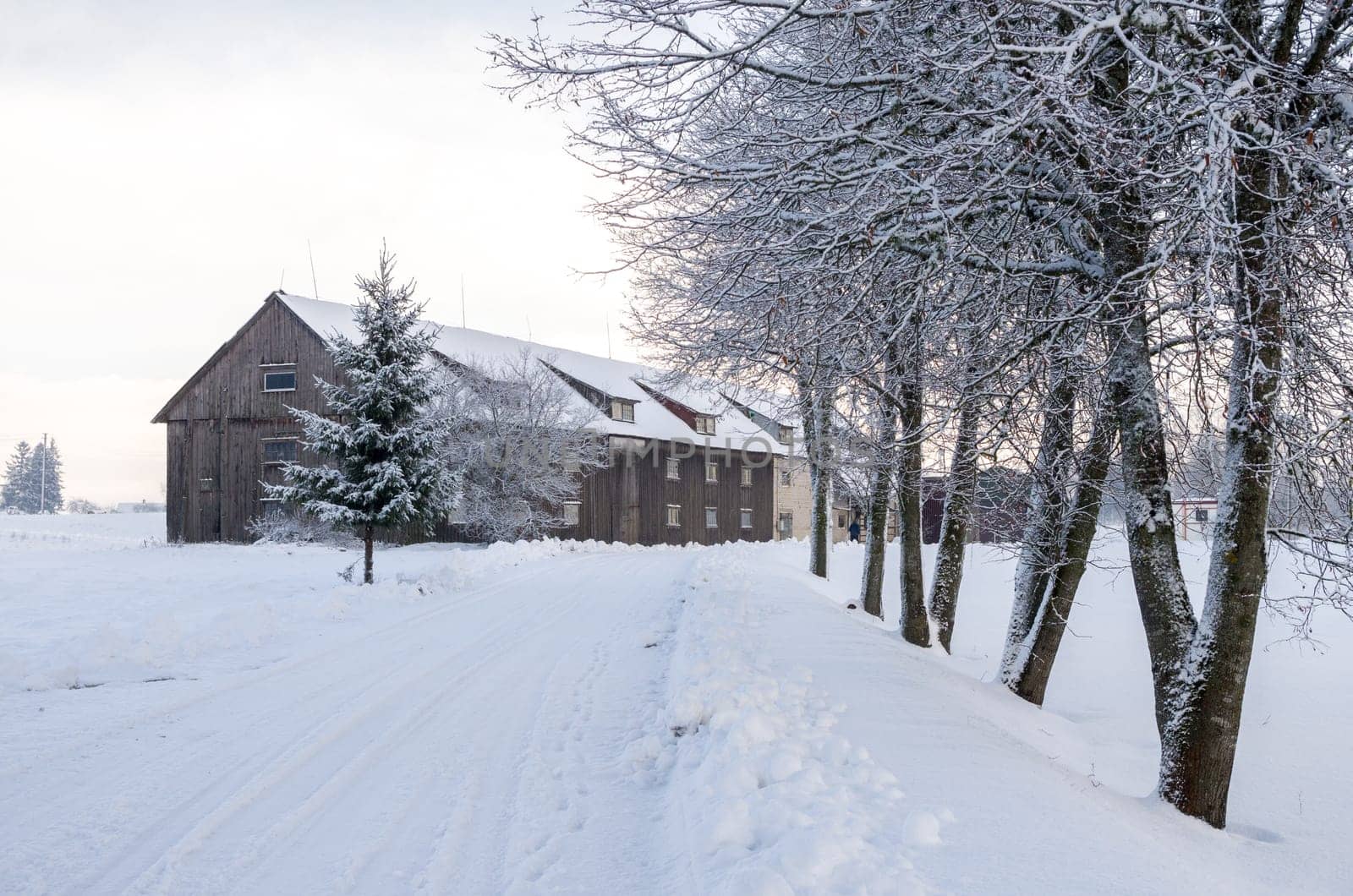 Snow covered countryside with trees and buildings