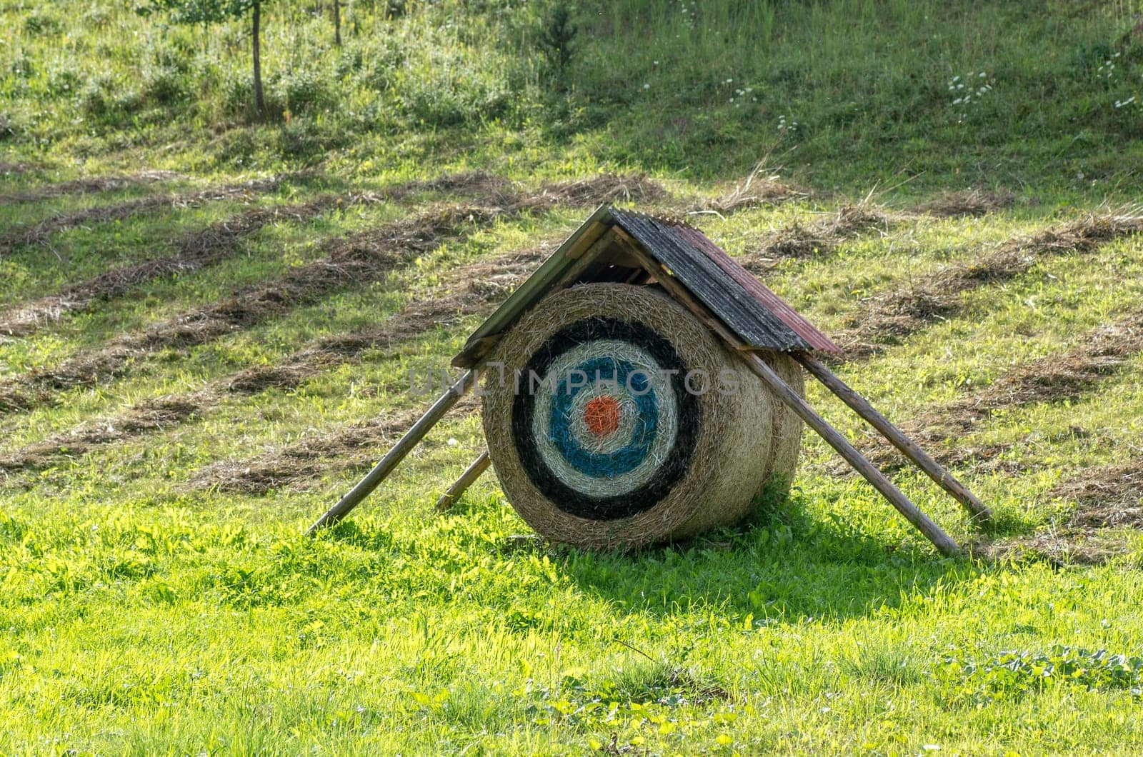 The target on the bale in field