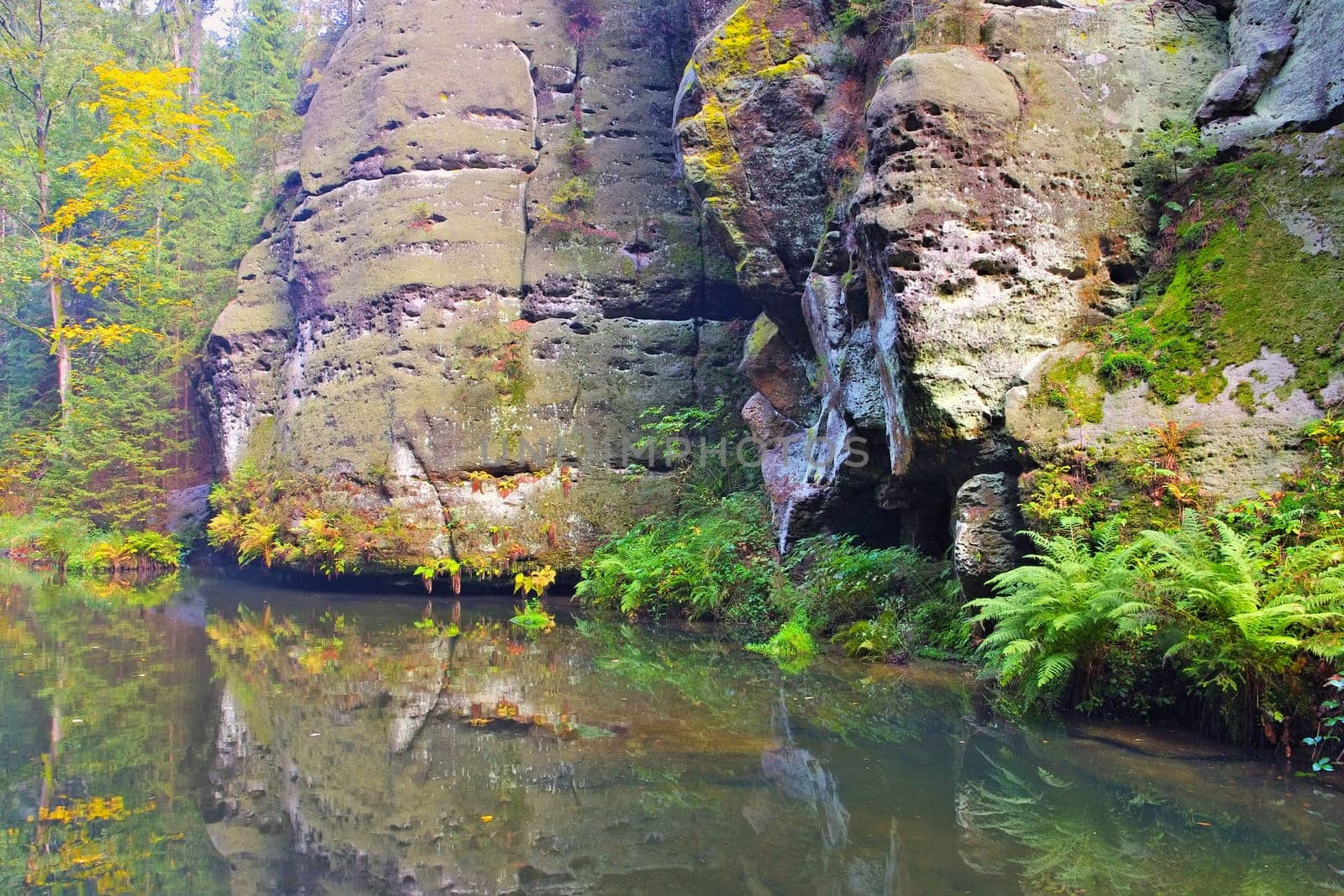 so called Kirnitzschtal in the Elbe sandstone mountains