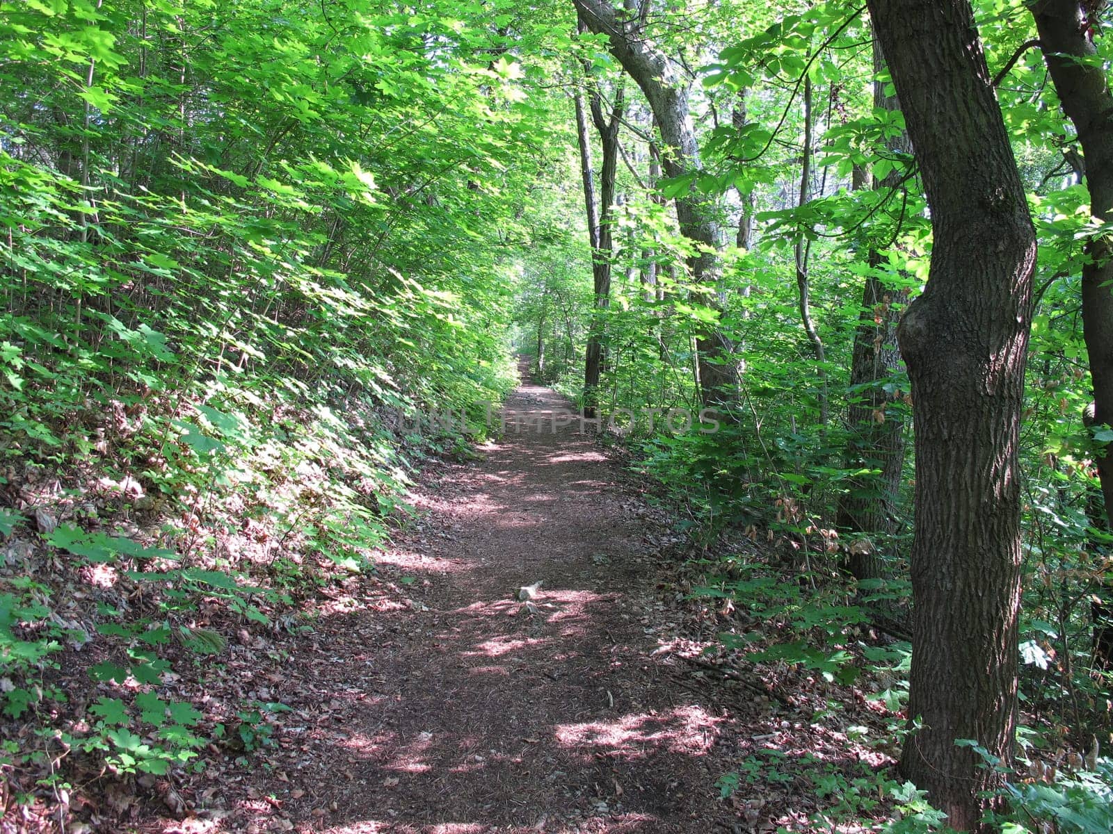 Hiking trail, Jena, Lobeda, Kernberge, Thuringia, Germany, end of May 2019