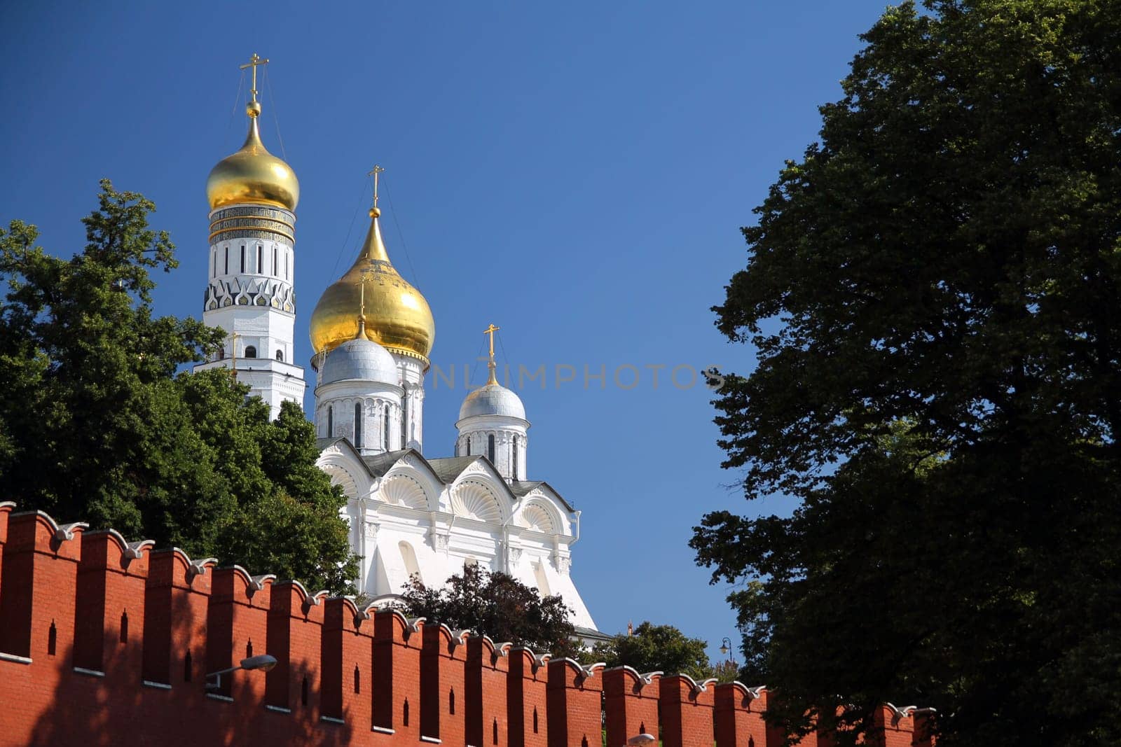 The golden domes of a church in the kremlin