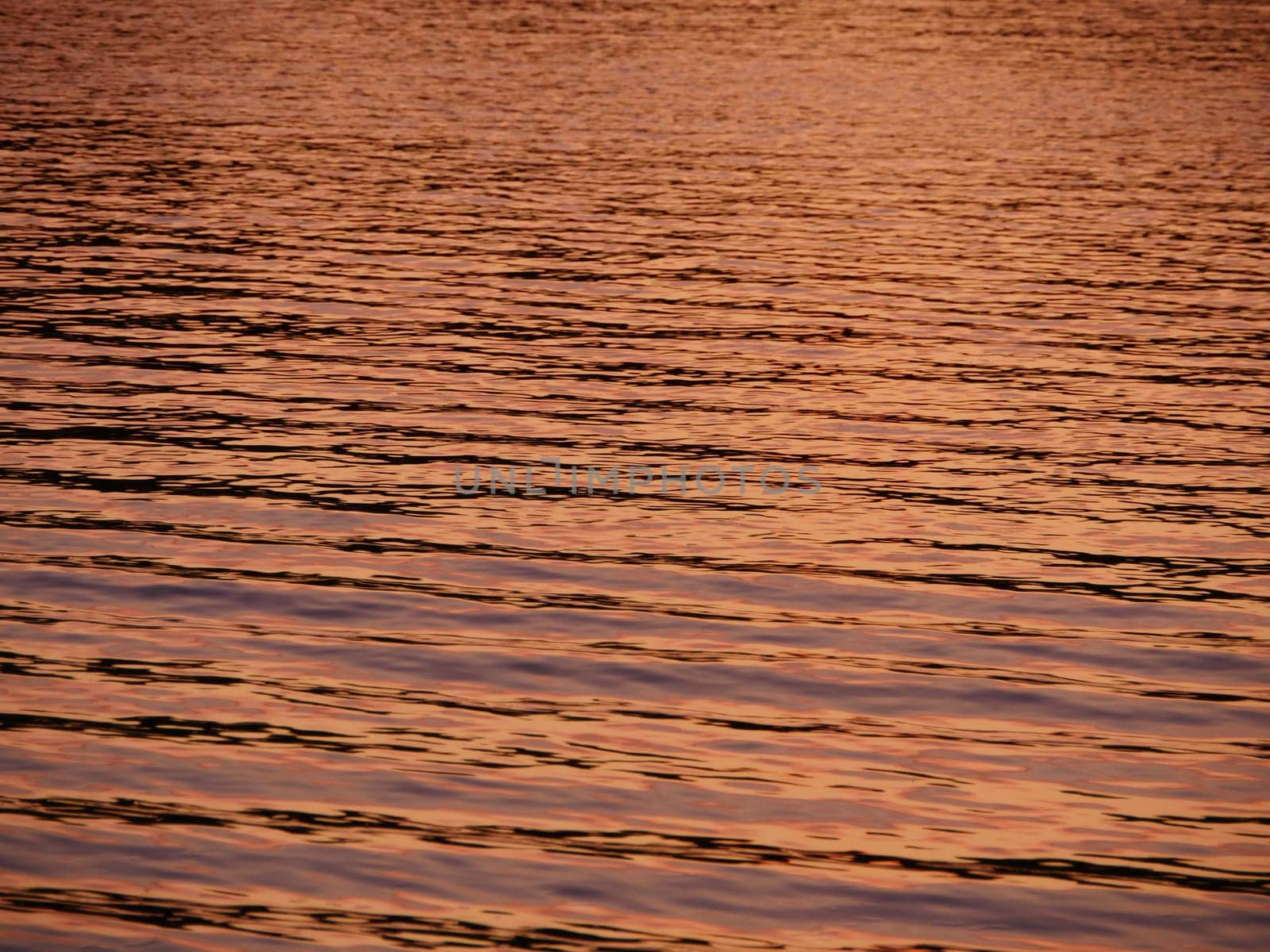 glare on golden water from the setting sun, background