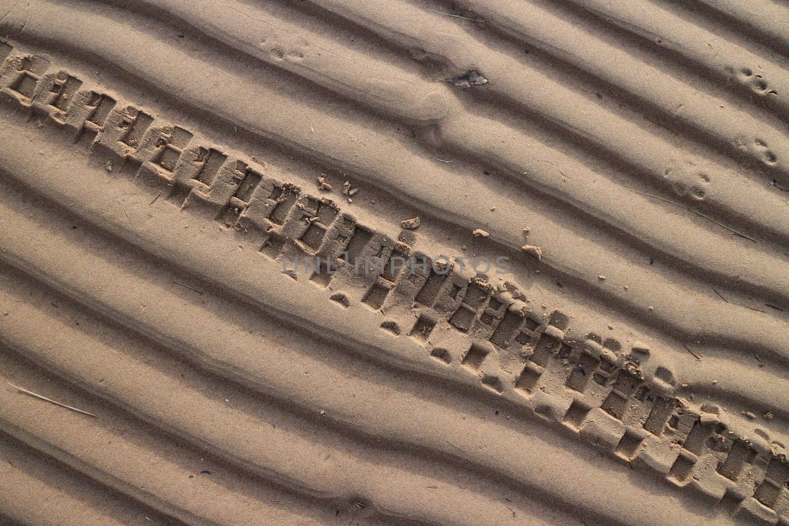 motorcycle wheel imprint on the sand of a beach