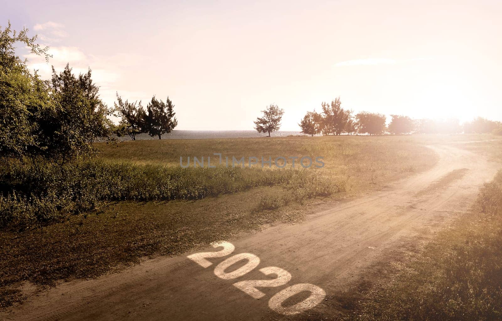 2020 on the rural road with grass field background. Happy New Year 2020