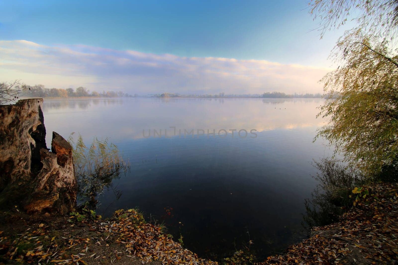 On the shore of the Erlichsee near Oberhausen-Rheinhausen