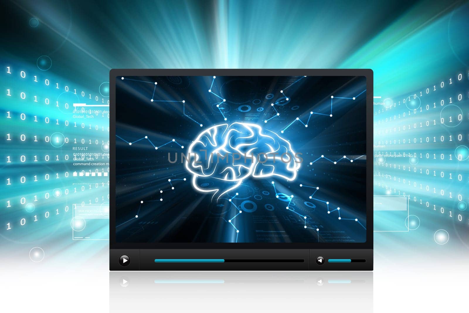 Human brain display