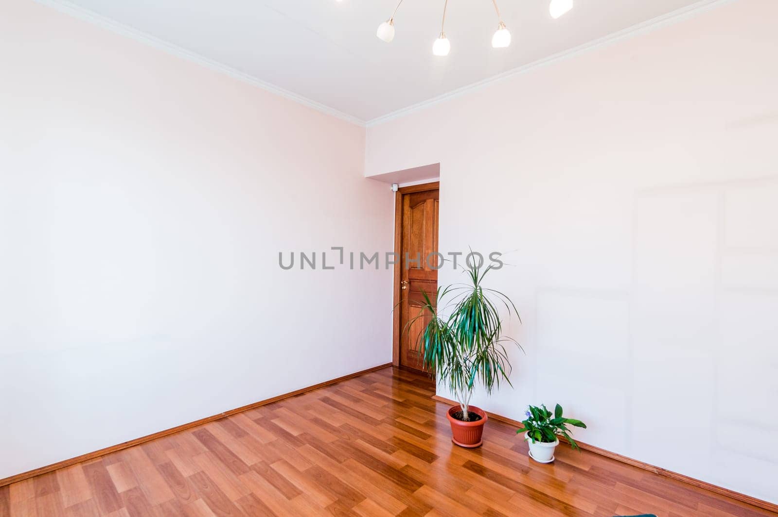 Russia, Moscow- August 01, 2019: interior room apartment. standard repair decoration in hostel