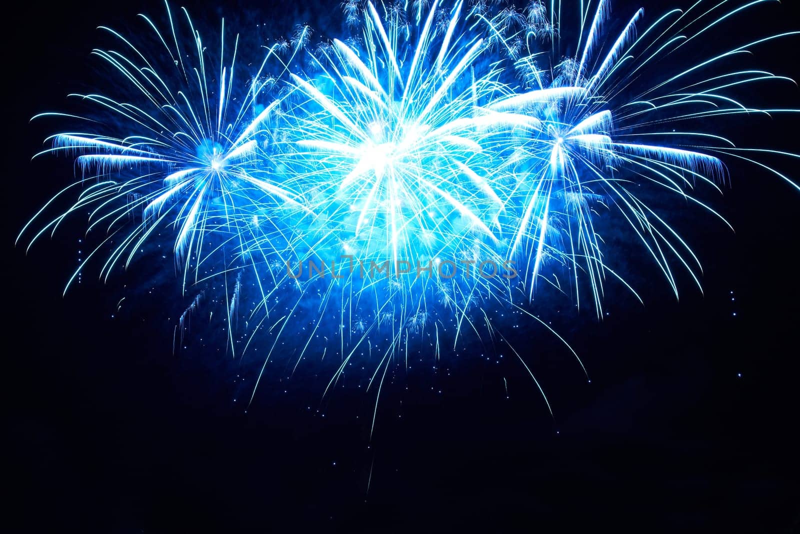 Blue colorful fireworks on the black sky background