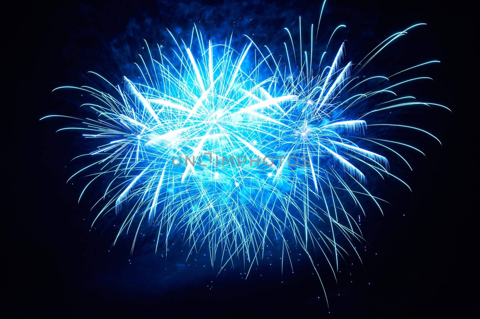 Blue colorful fireworks on the black sky background