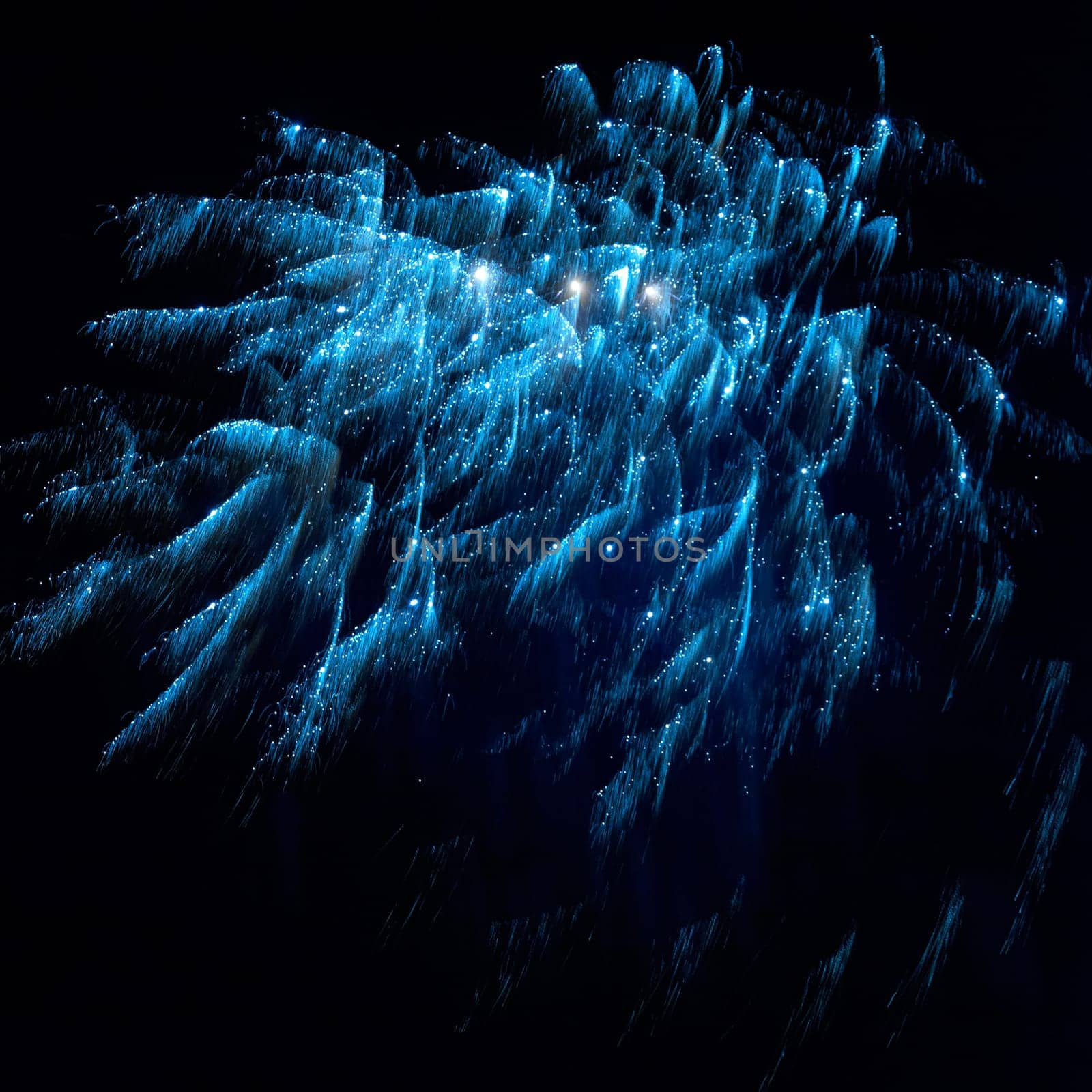 Blue and red colorful holiday fireworks on the black sky background.