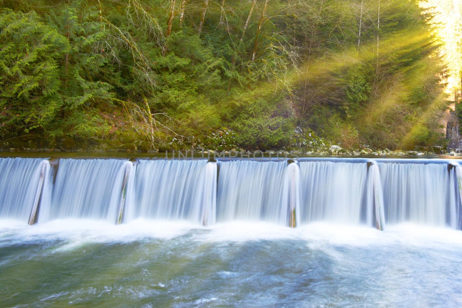 Waterfall cascade streaming down in the green sunny forest
