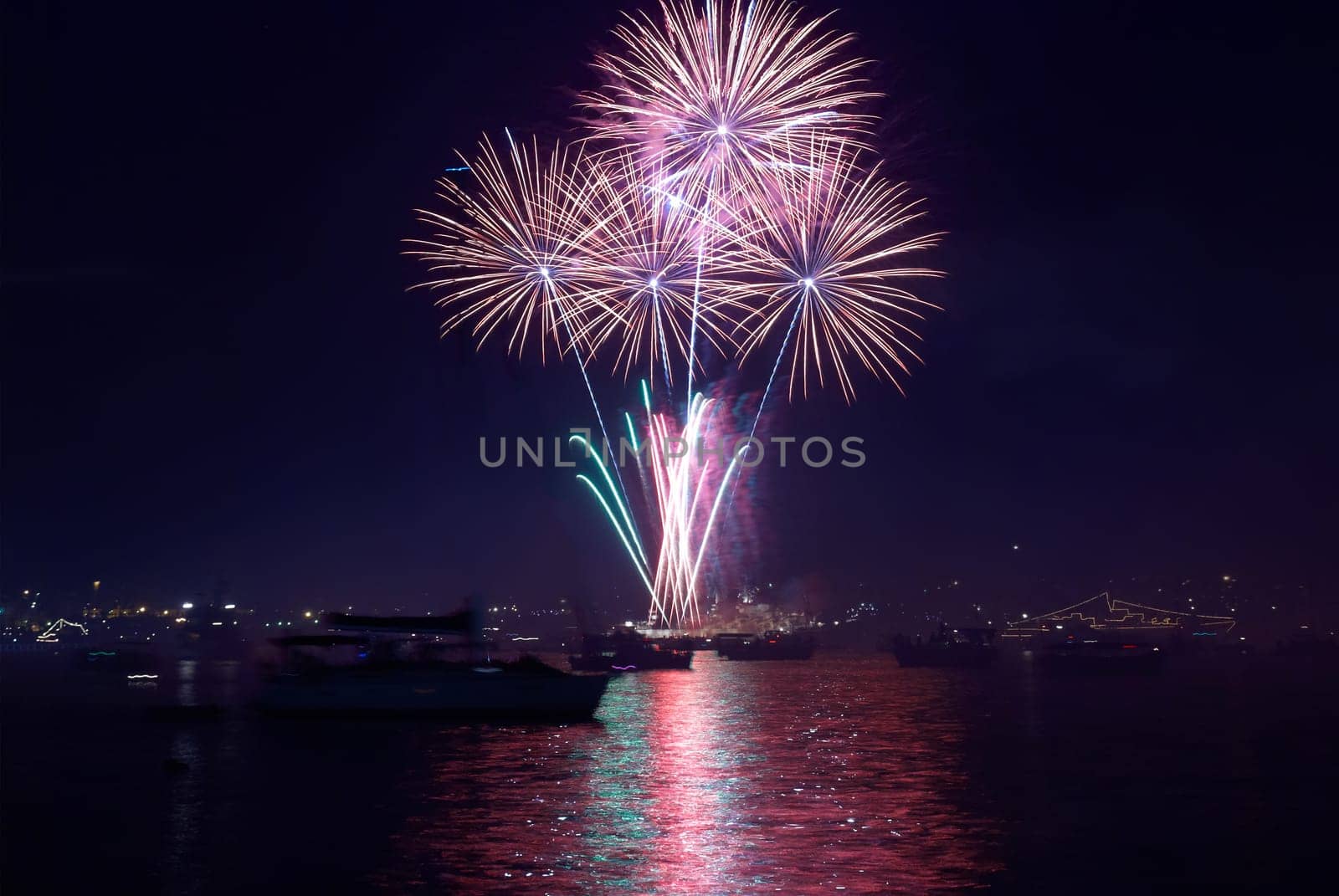 Colorful fireworks on the black sky background