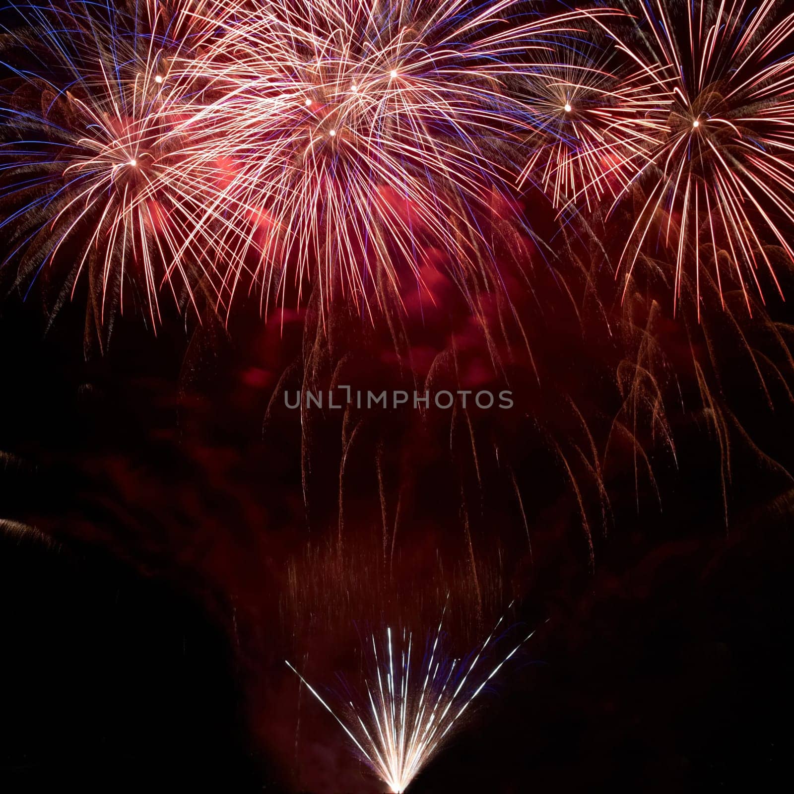Colorful fireworks on the black sky background