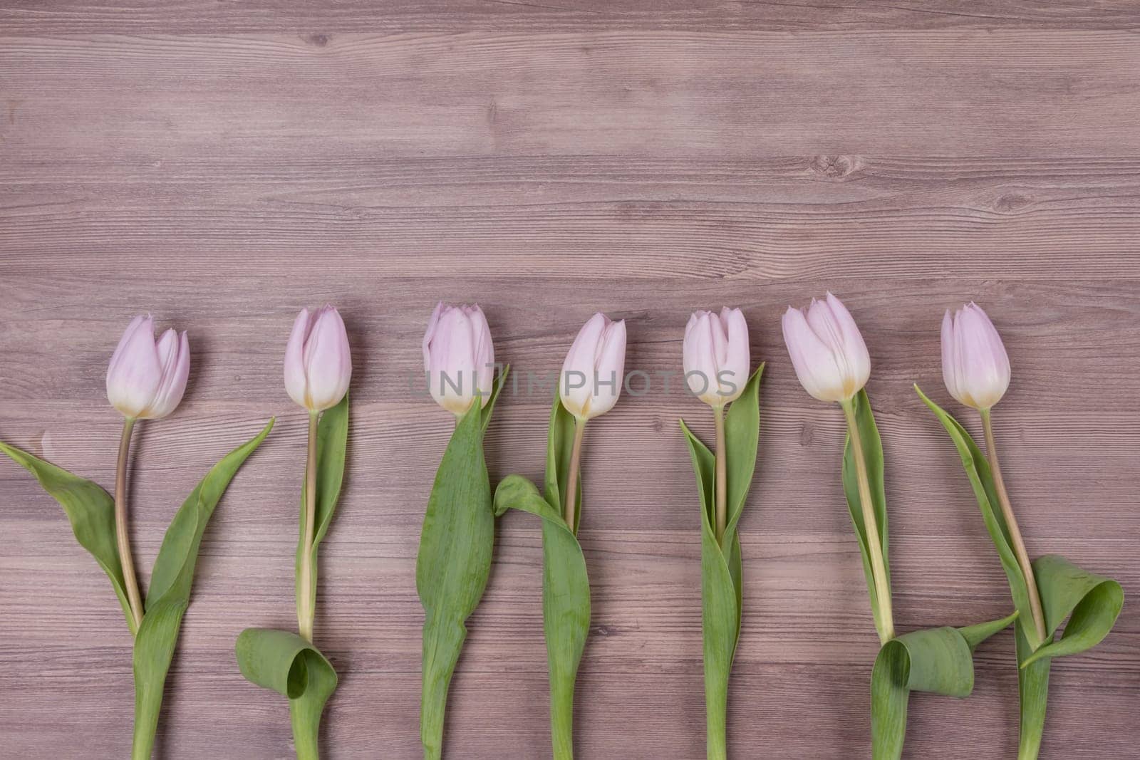 Beautiful present symbol flowers for valentine's day, mother's day, wedding, birthday, easter, girlfriend, wife or sweetheart. Wooden background and copyspace.