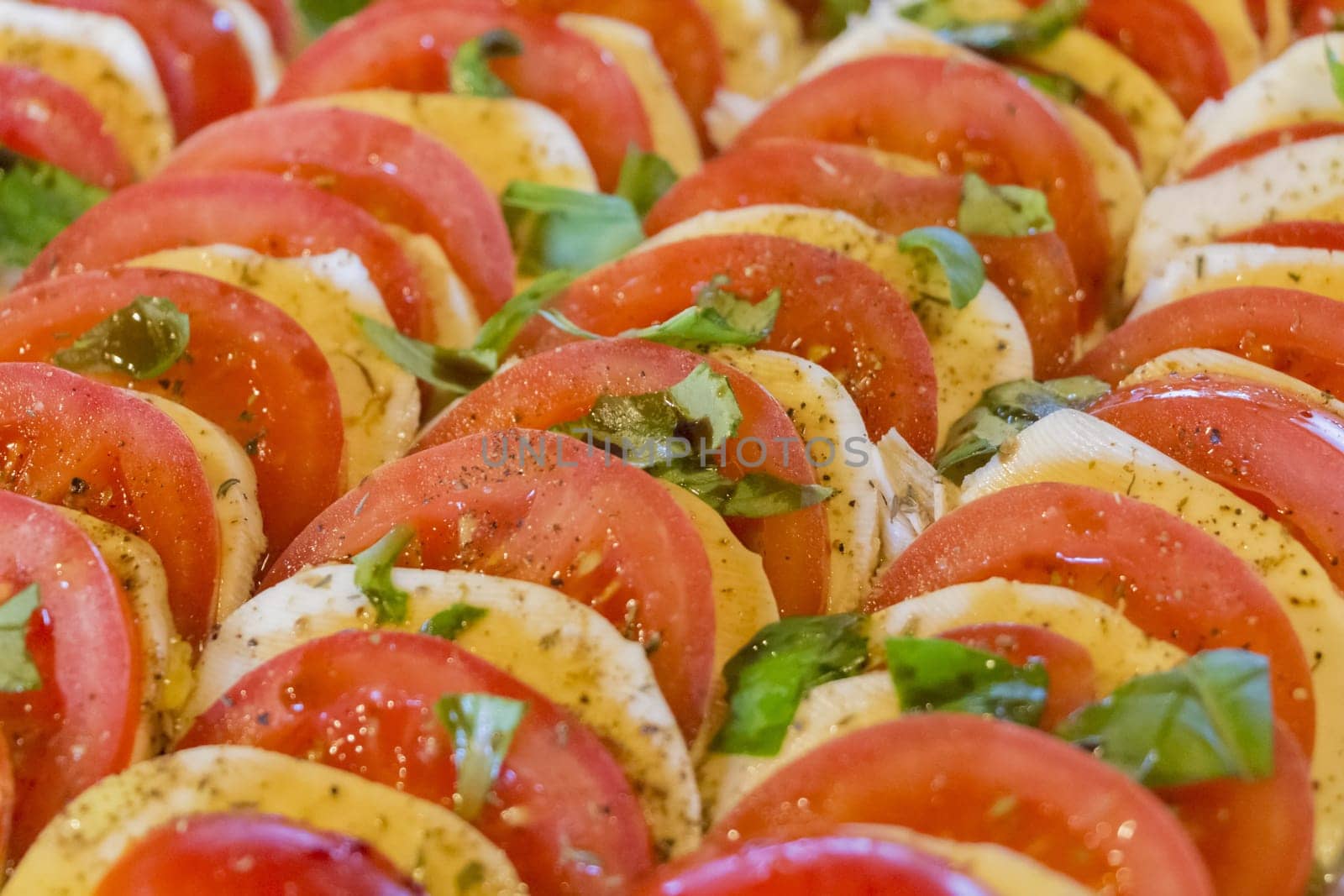 Wonderful vegetarian vegan appetizer. Green, bio and local food. Tomato and cheese in rows with herbs and basil. Healthy nutrition.