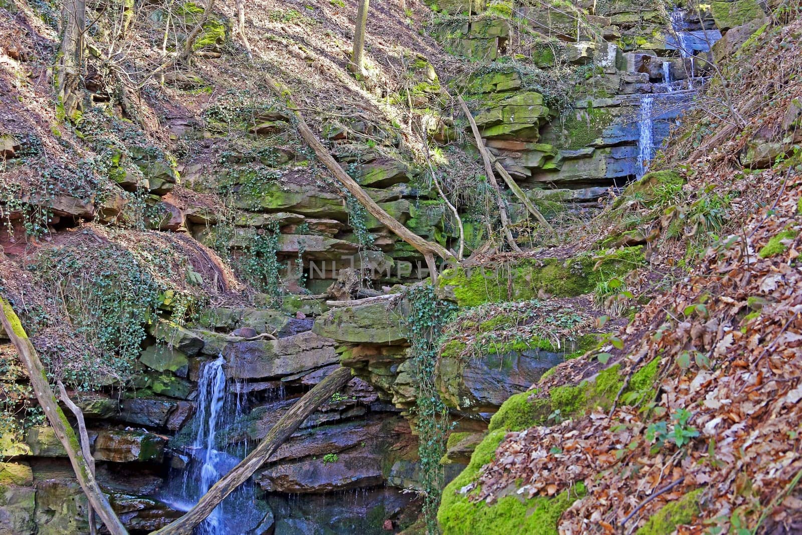 In the Odenwald Margarethenschlucht near Neckargerach