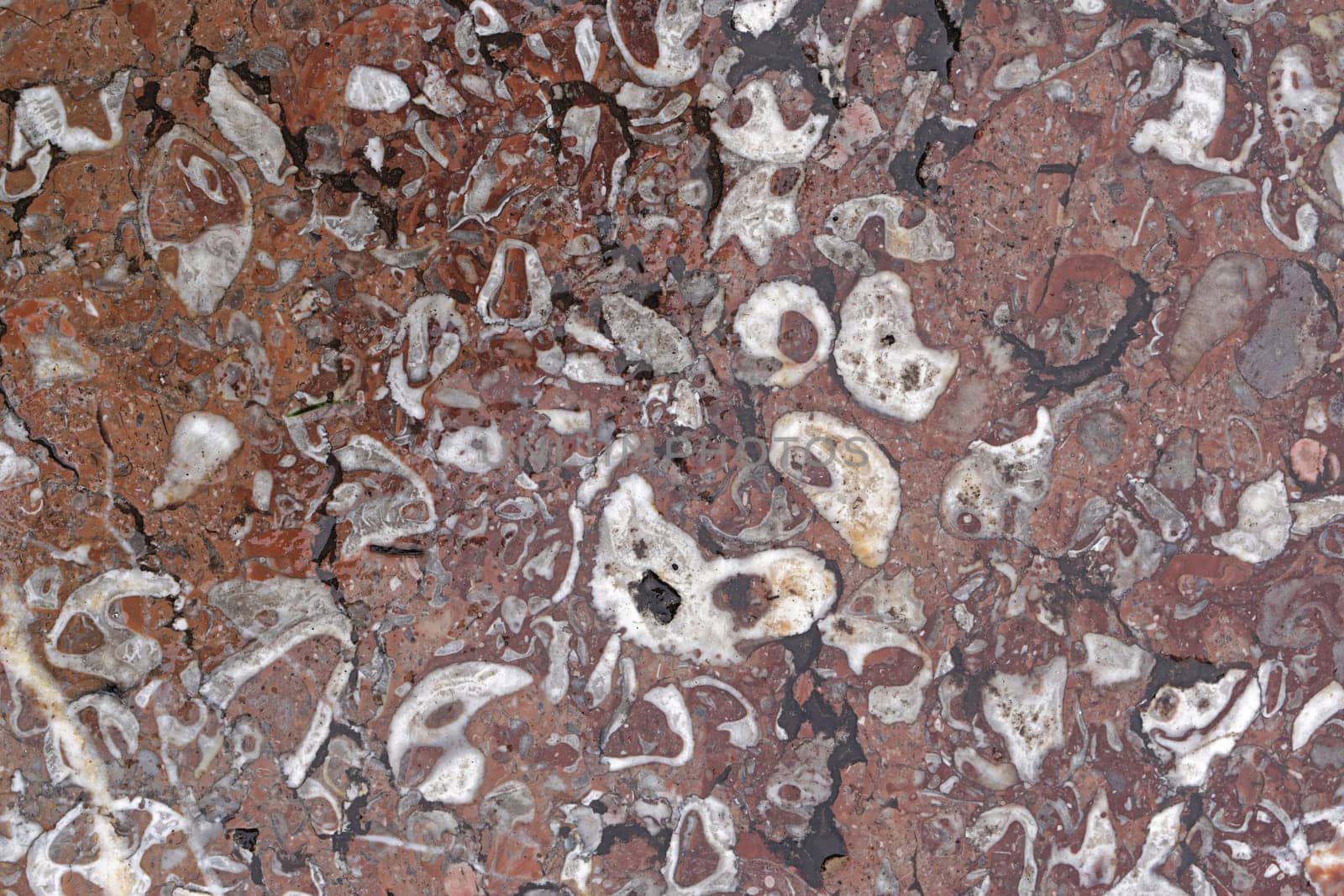 Brown marble stone close up background