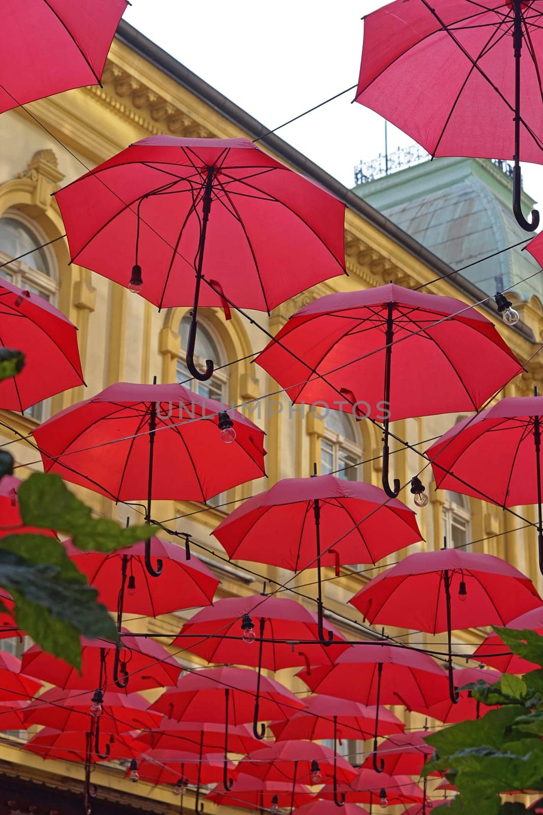 Many open red umberllas overhead street decor