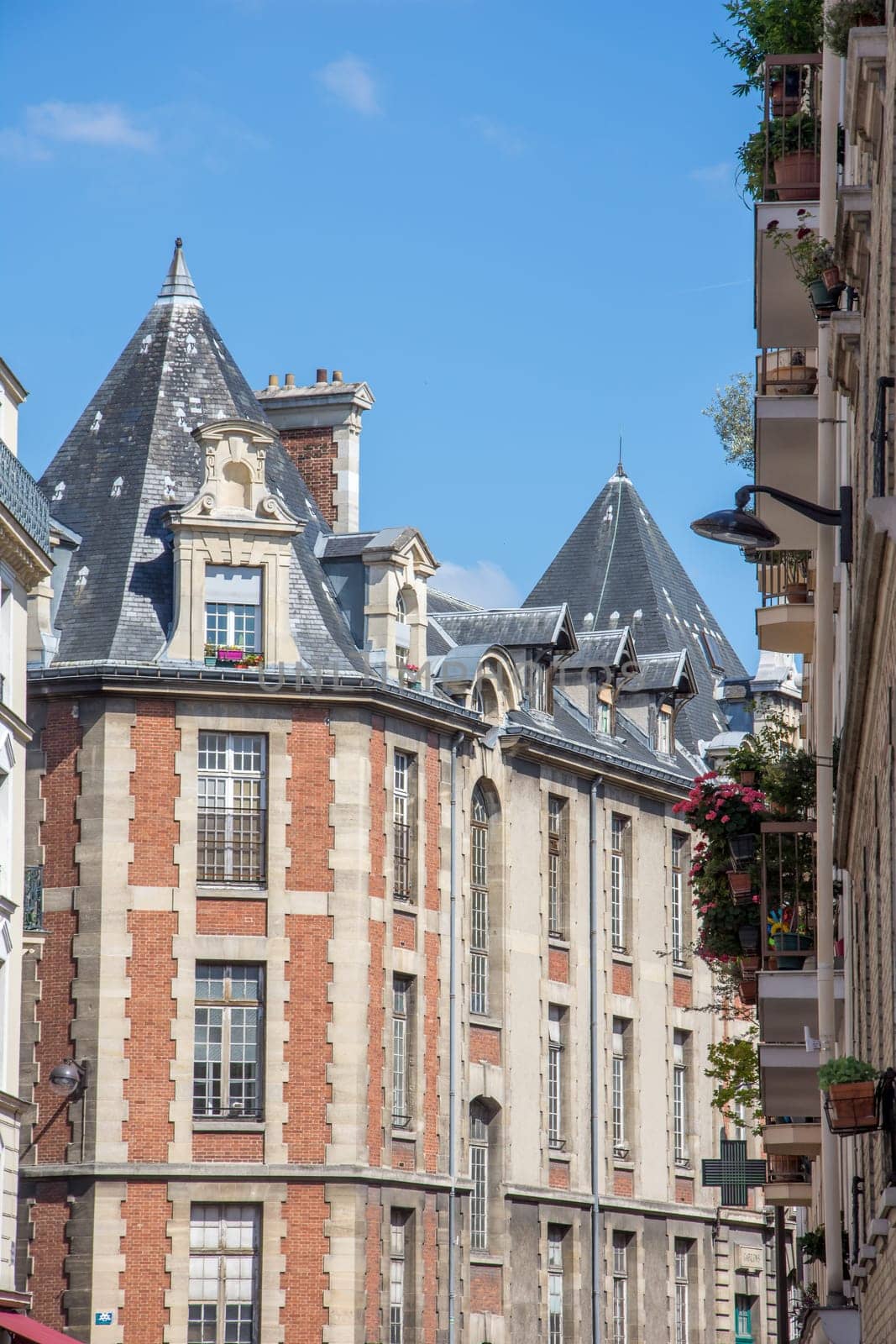 discovery of Paris and the banks of the Seine in summer, France