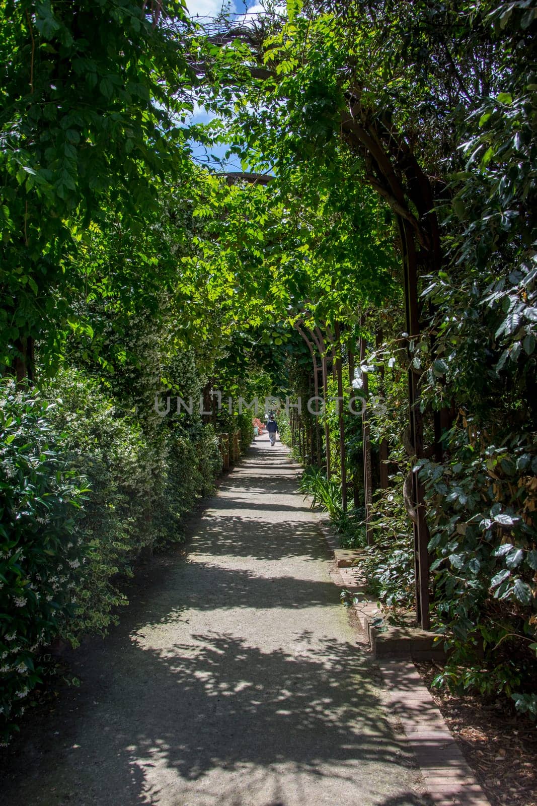discovery of Paris and the banks of the Seine in summer, France