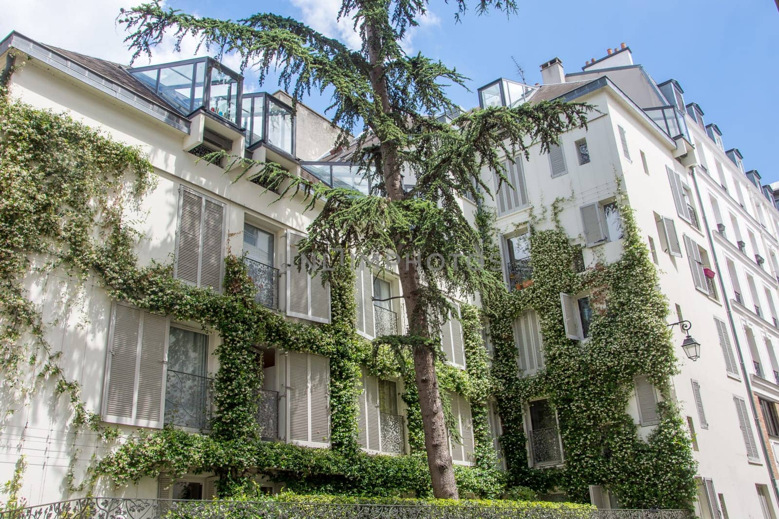 discovery of Paris and the banks of the Seine in summer, France