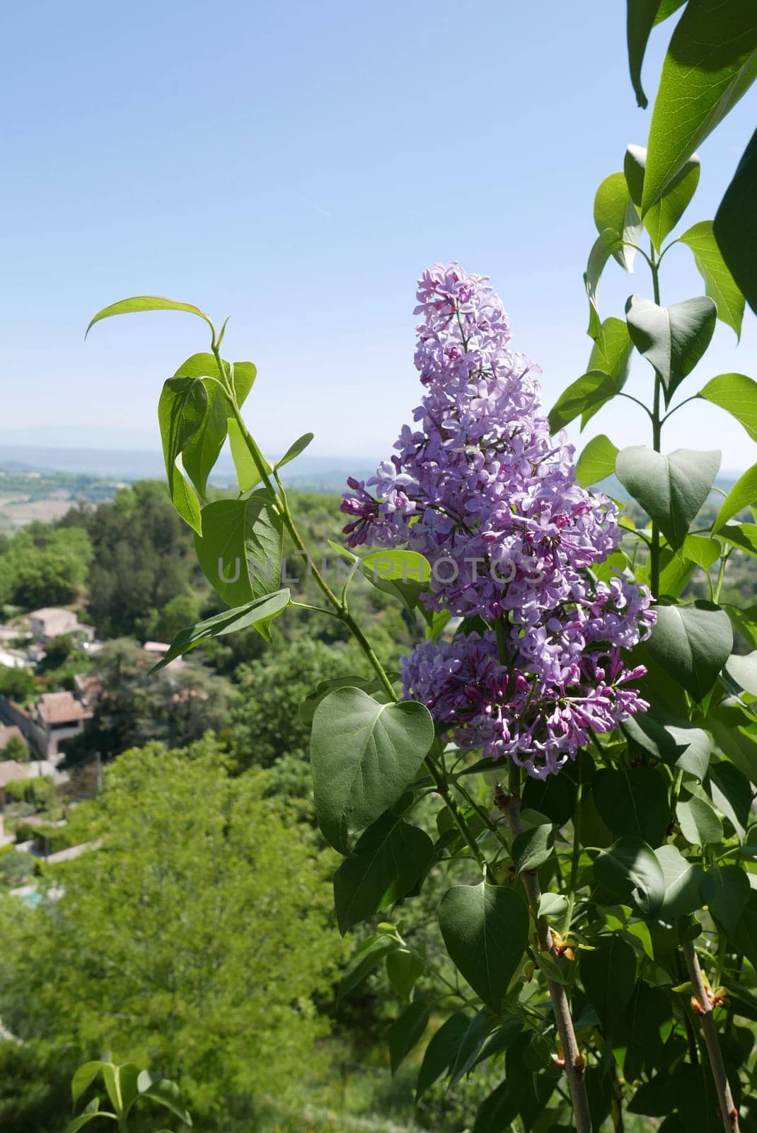 Walk around Forcalquier in the Alpes de Haute Provence, France