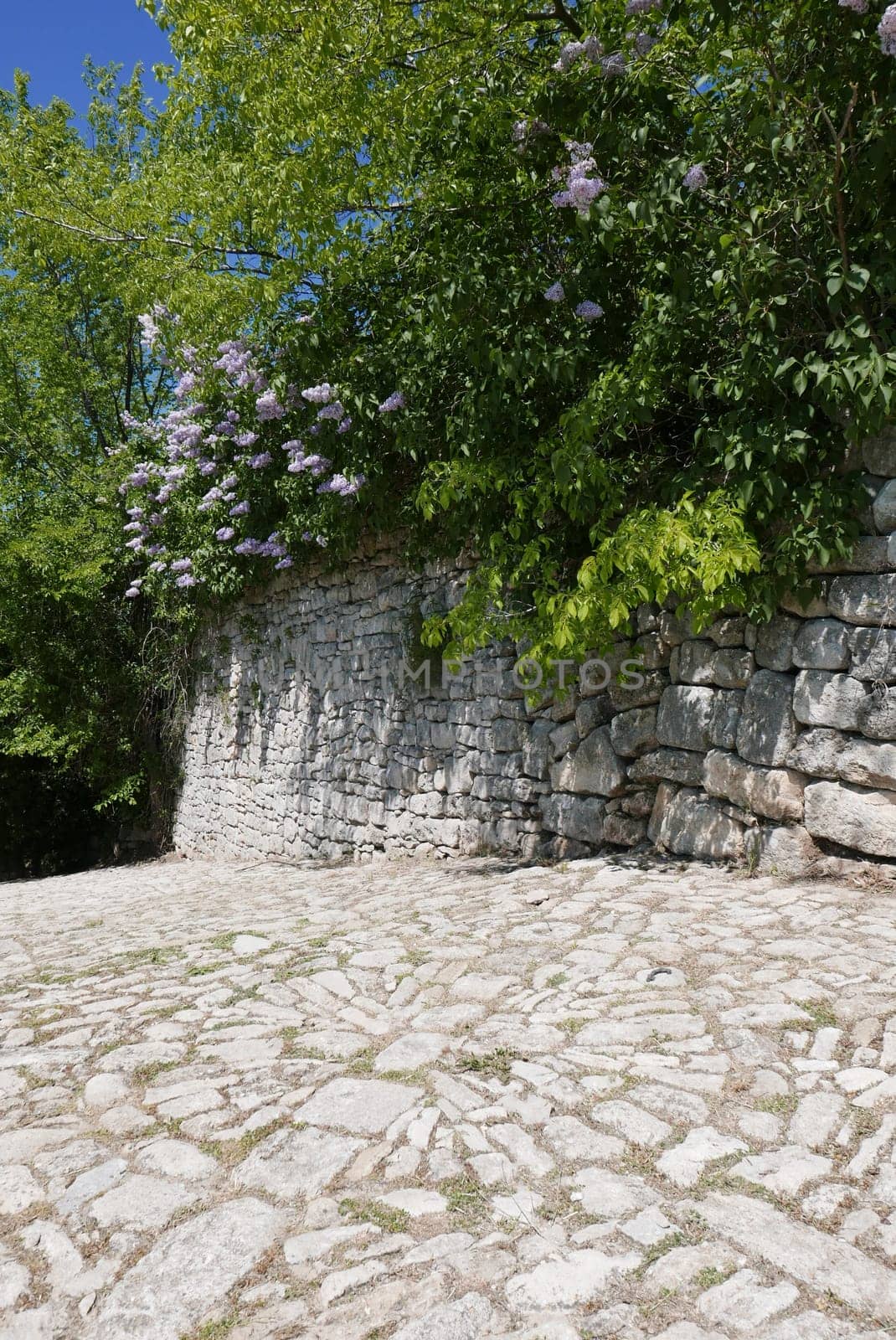 Walk around Forcalquier in the Alpes de Haute Provence, France