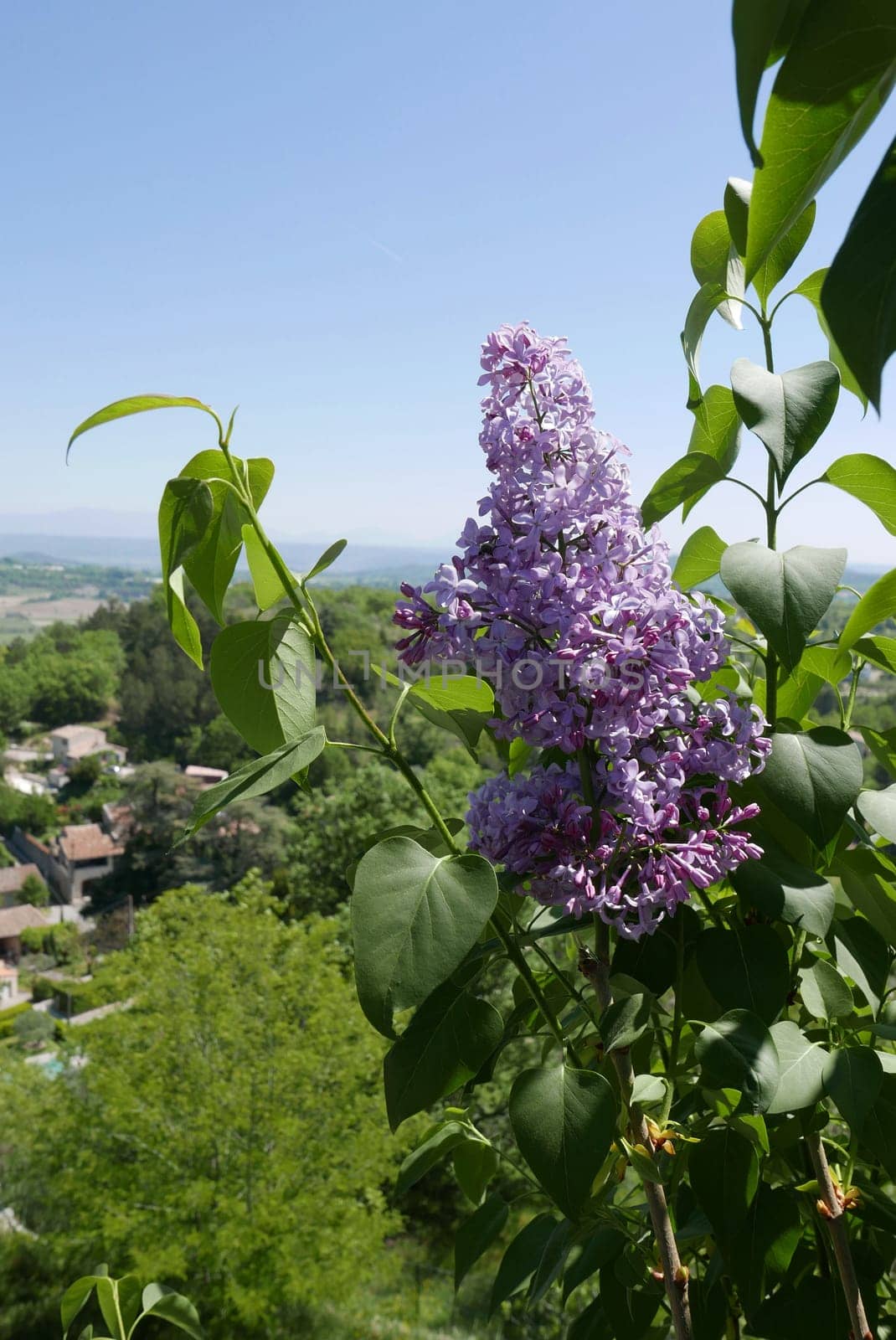 Walk around Forcalquier in the Alpes de Haute Provence, France