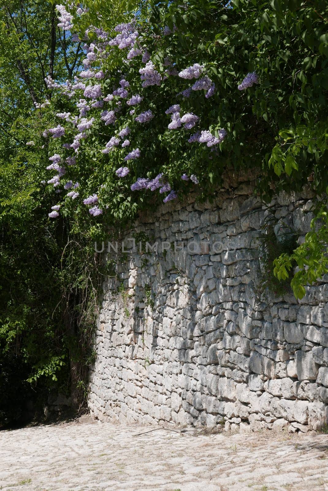 Walk around Forcalquier in the Alpes de Haute Provence, France