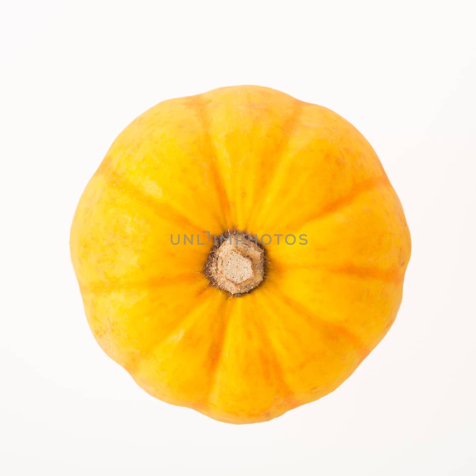 Acorn Squash from above isolated on white background.