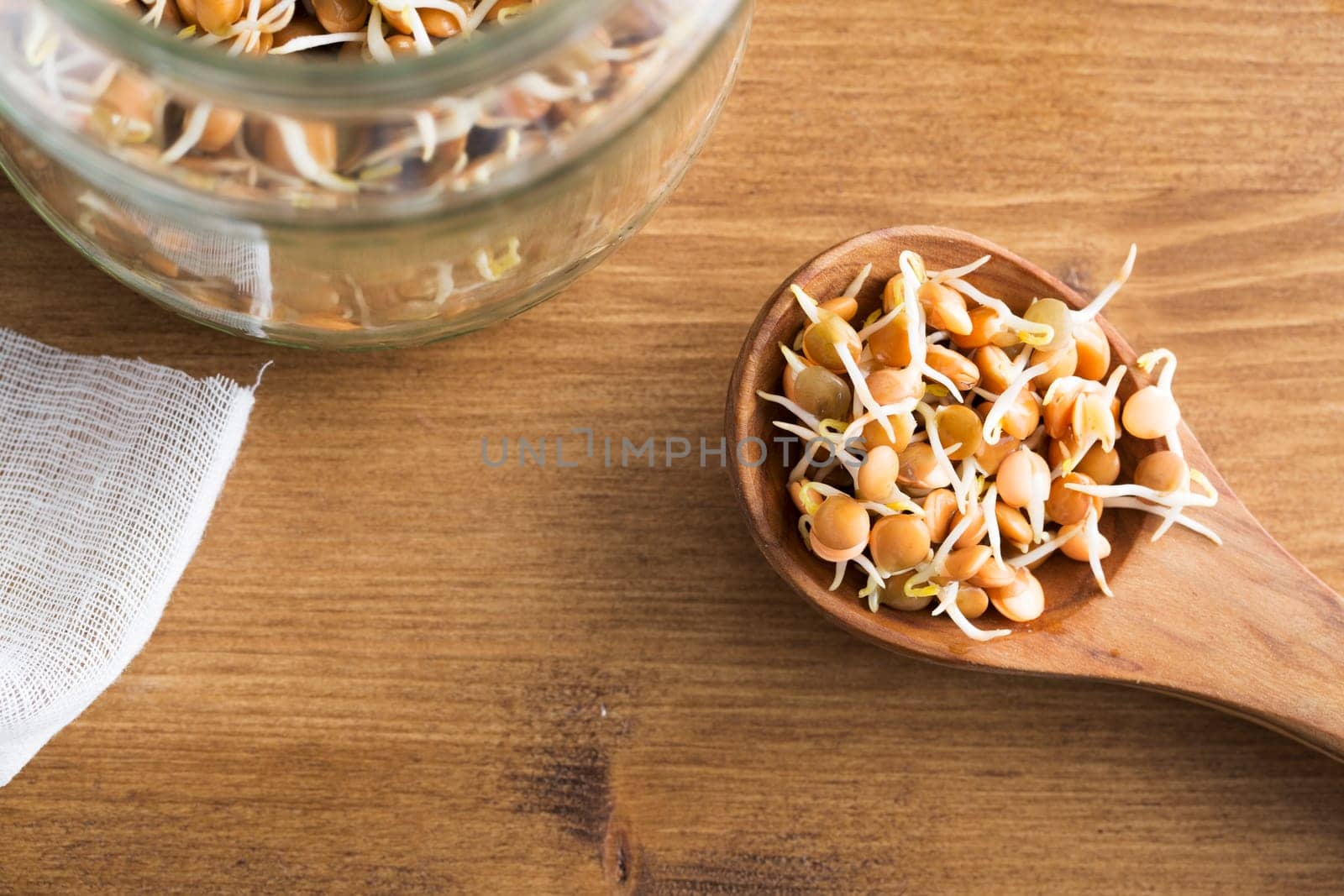 Making sprouts, lentil sprouts in wooden spoon with jar.
