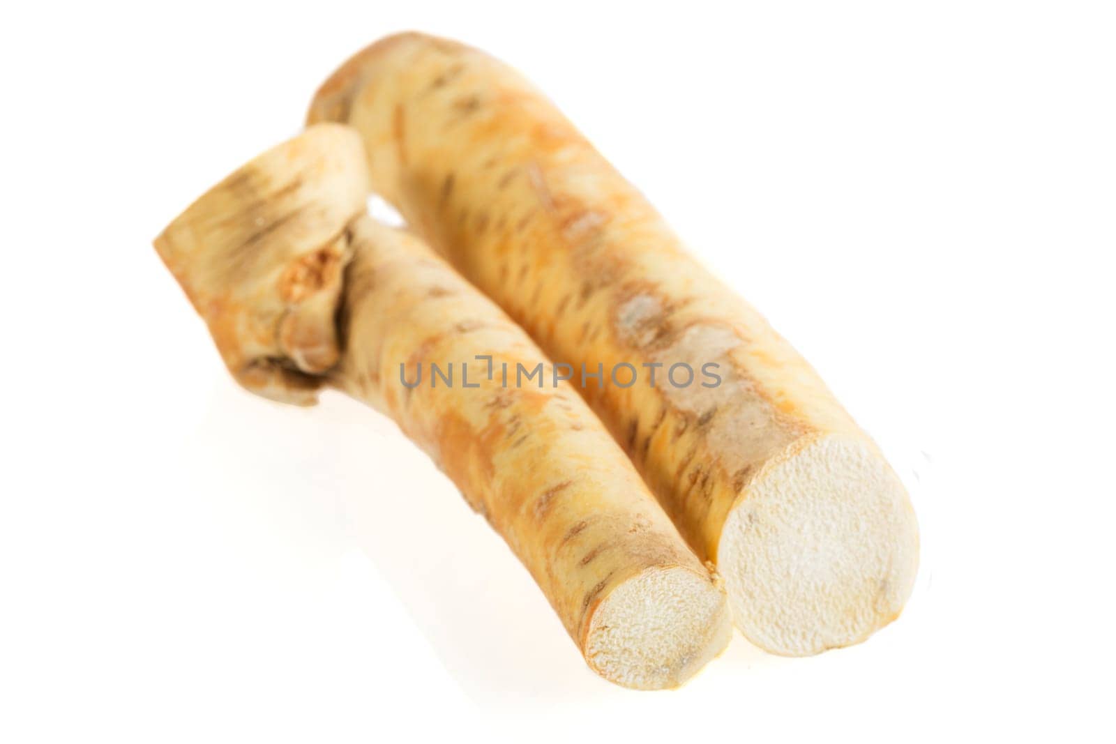 Horseradish roots isolated on a white background