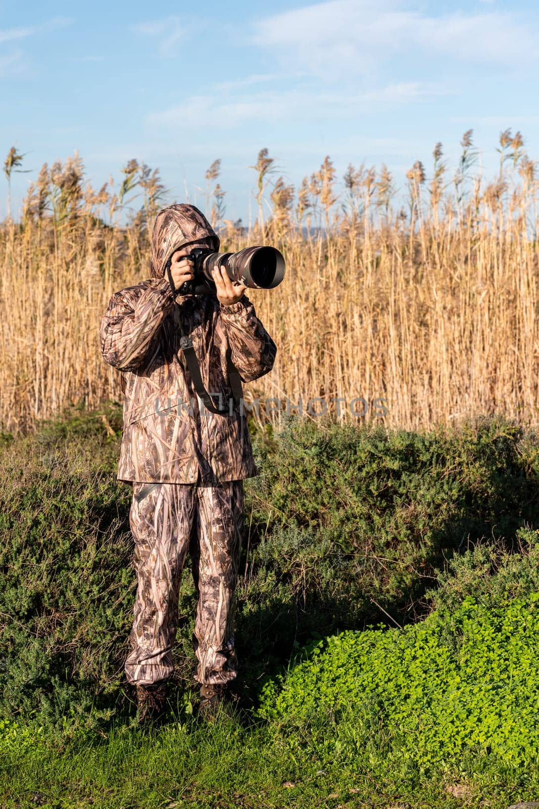 Naturalist photographer in action, with camouflage and camera, in the wilderness.