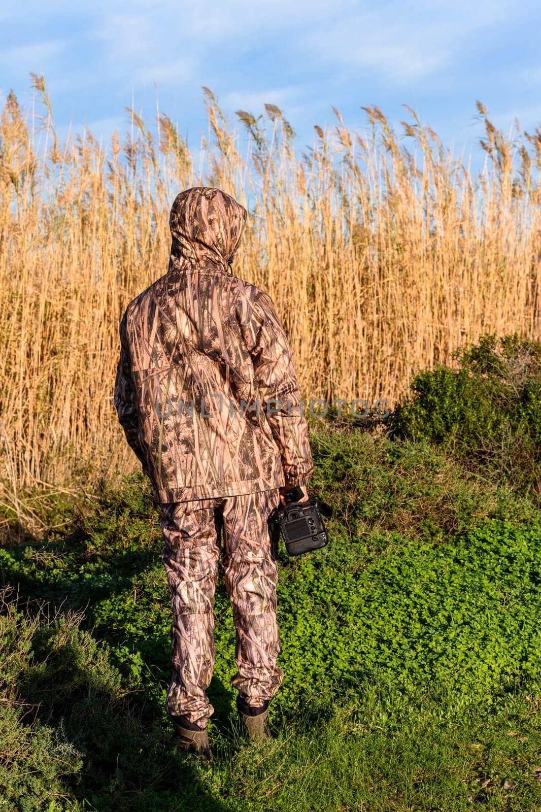 Naturalist photographer in action, with camouflage and camera, in the wilderness.