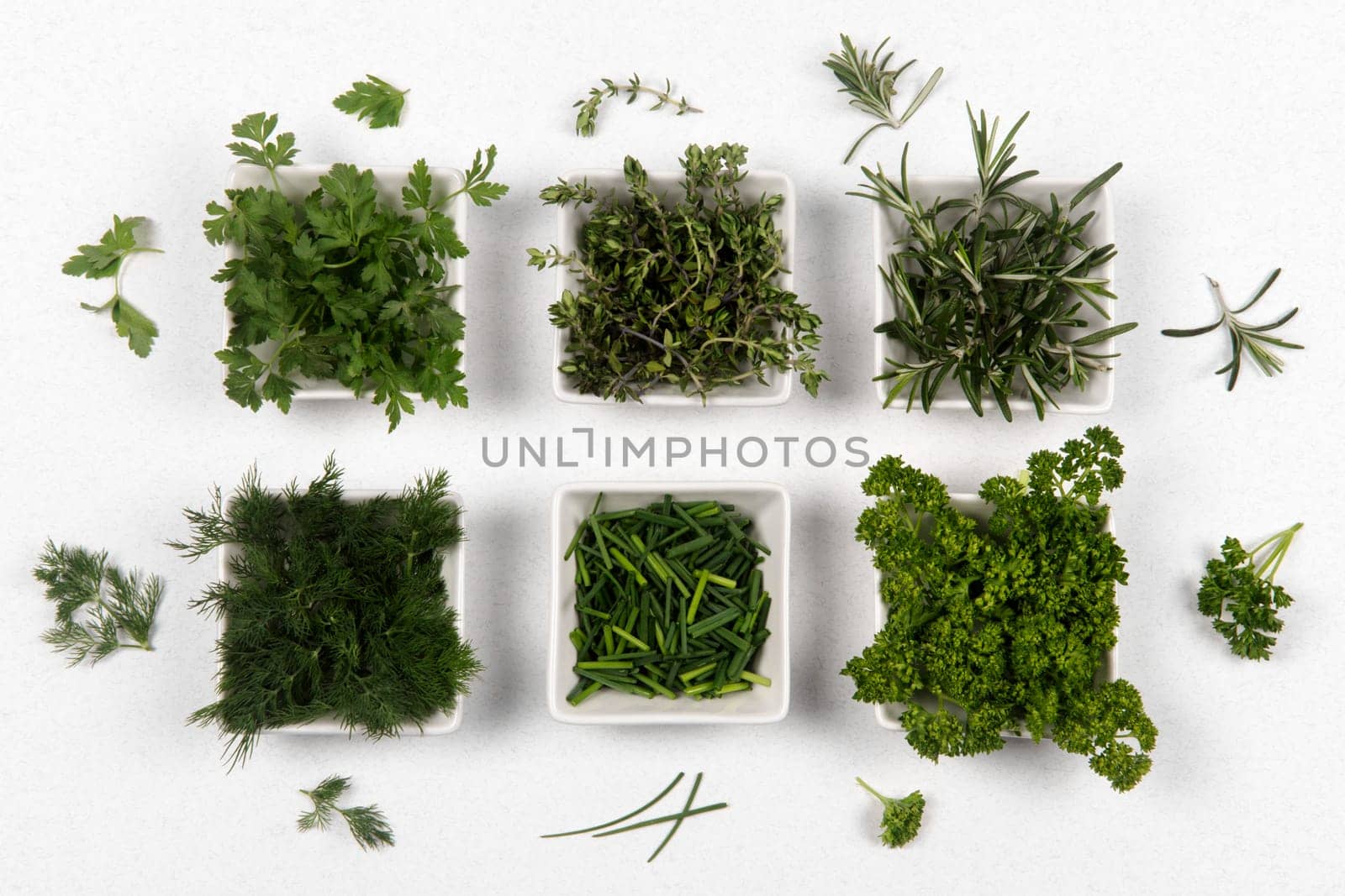 Fresh organic healthy green herbs and spices in six white little plate on white background.