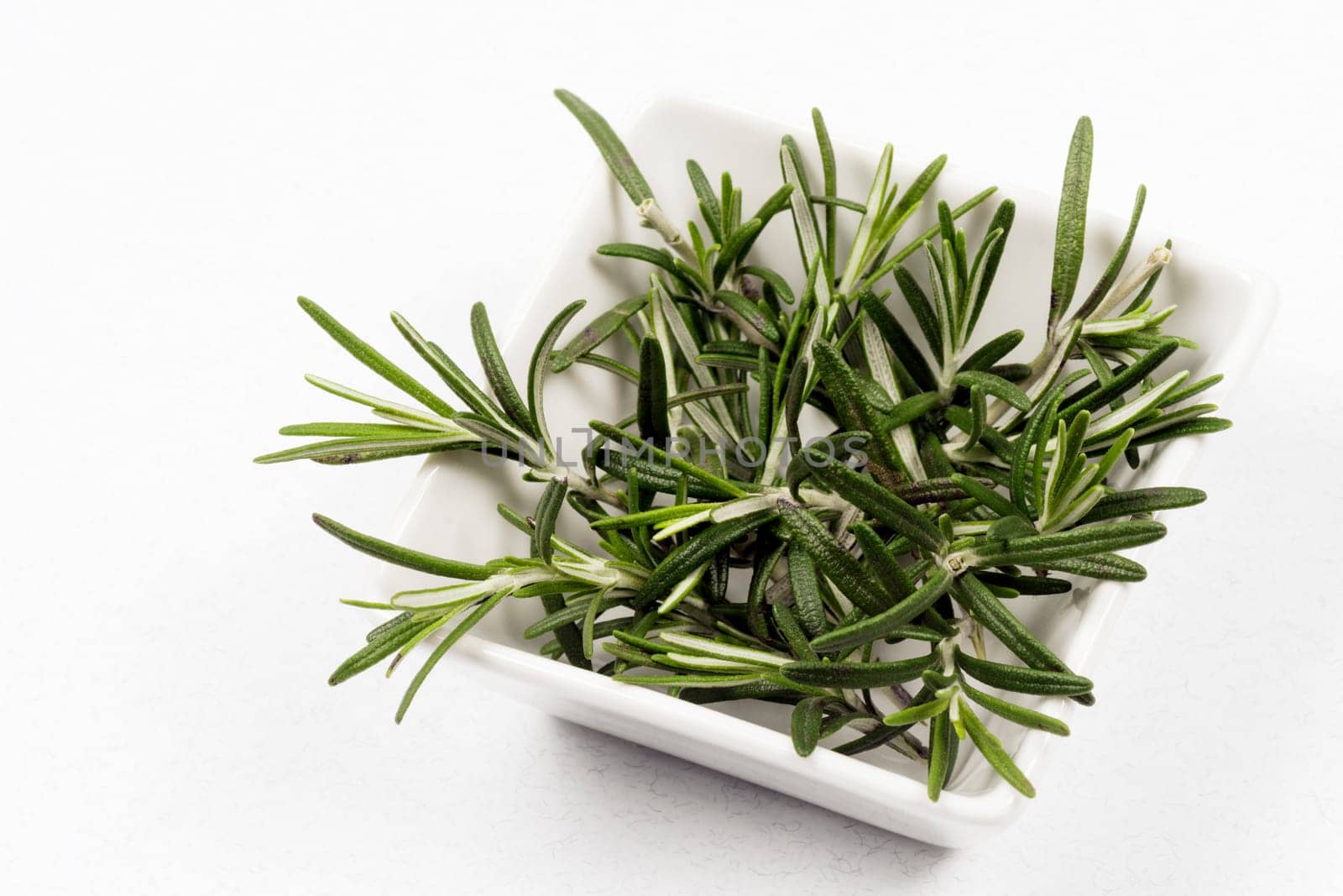 The rosemary fresh green herb and spice for seasoning is in white dish on white background.