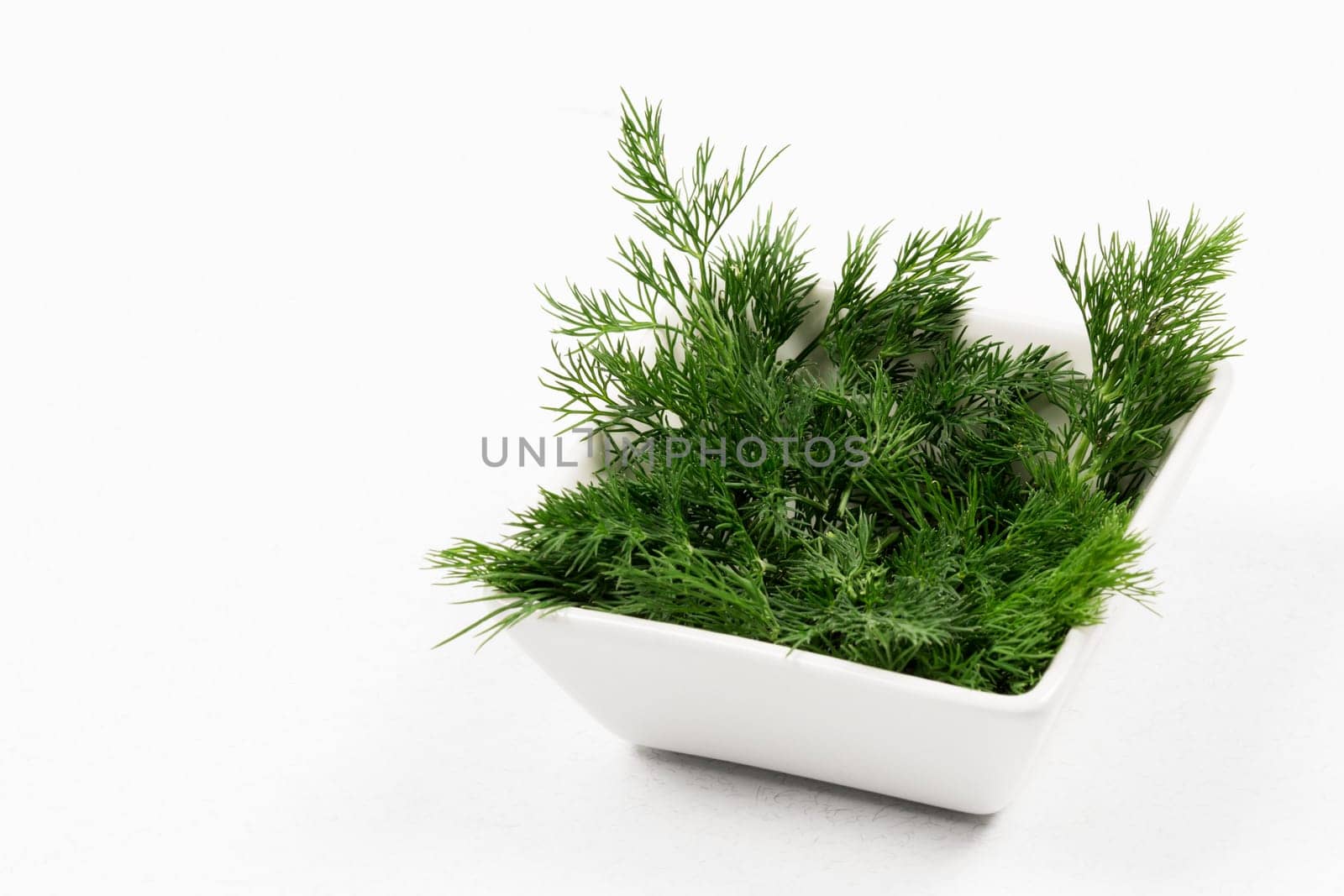 Fresh dill green herb and spice for seasoning is in white dish on white background.