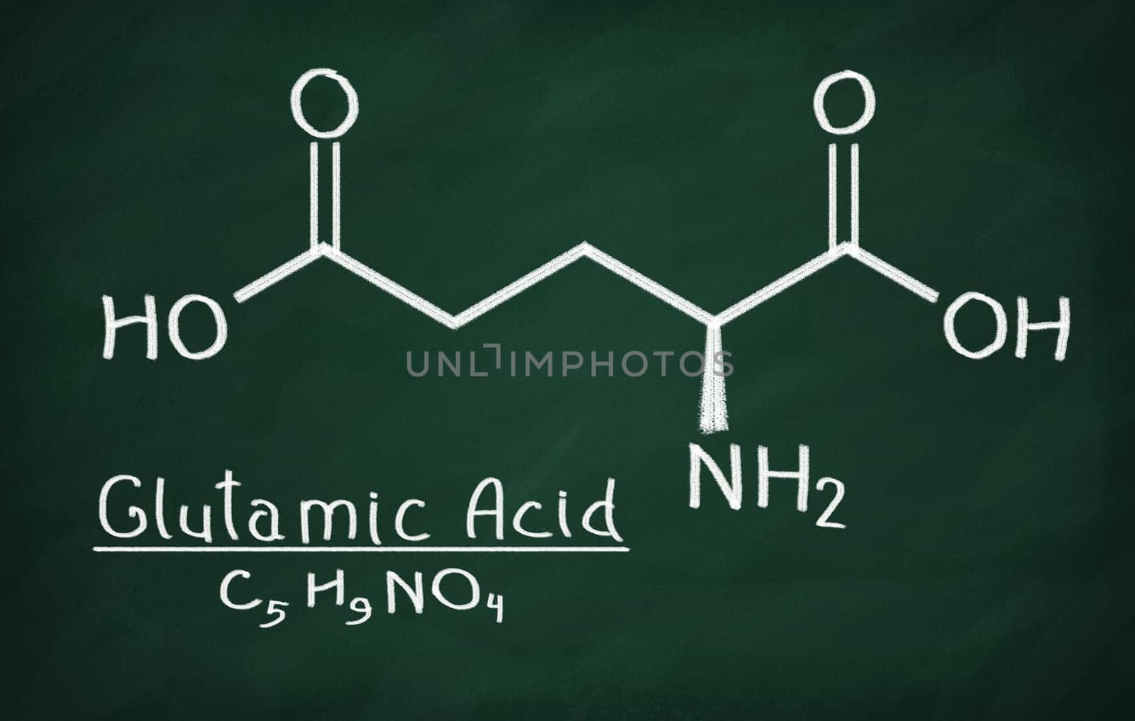 Structural model of Glutamic Acid on the blackboard.