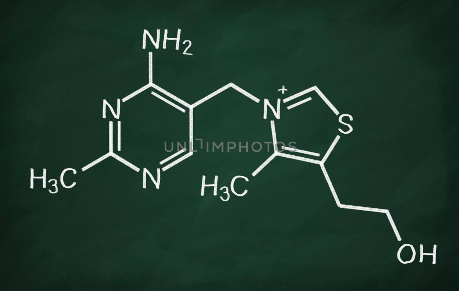 Structural model of Vitamin B1 (Thiamine) on the blackboard.