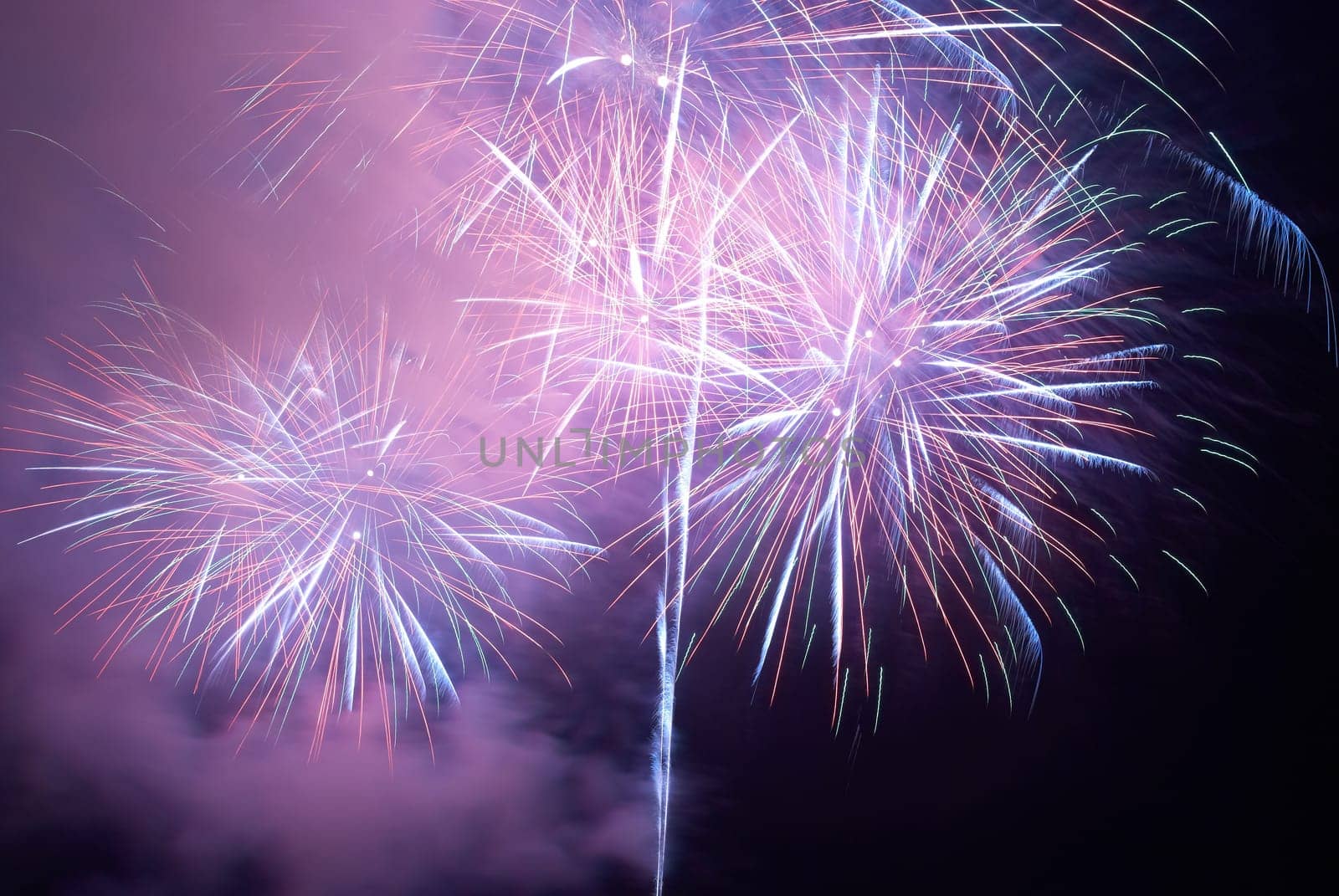 Colorful holiday fireworks on the black sky background.