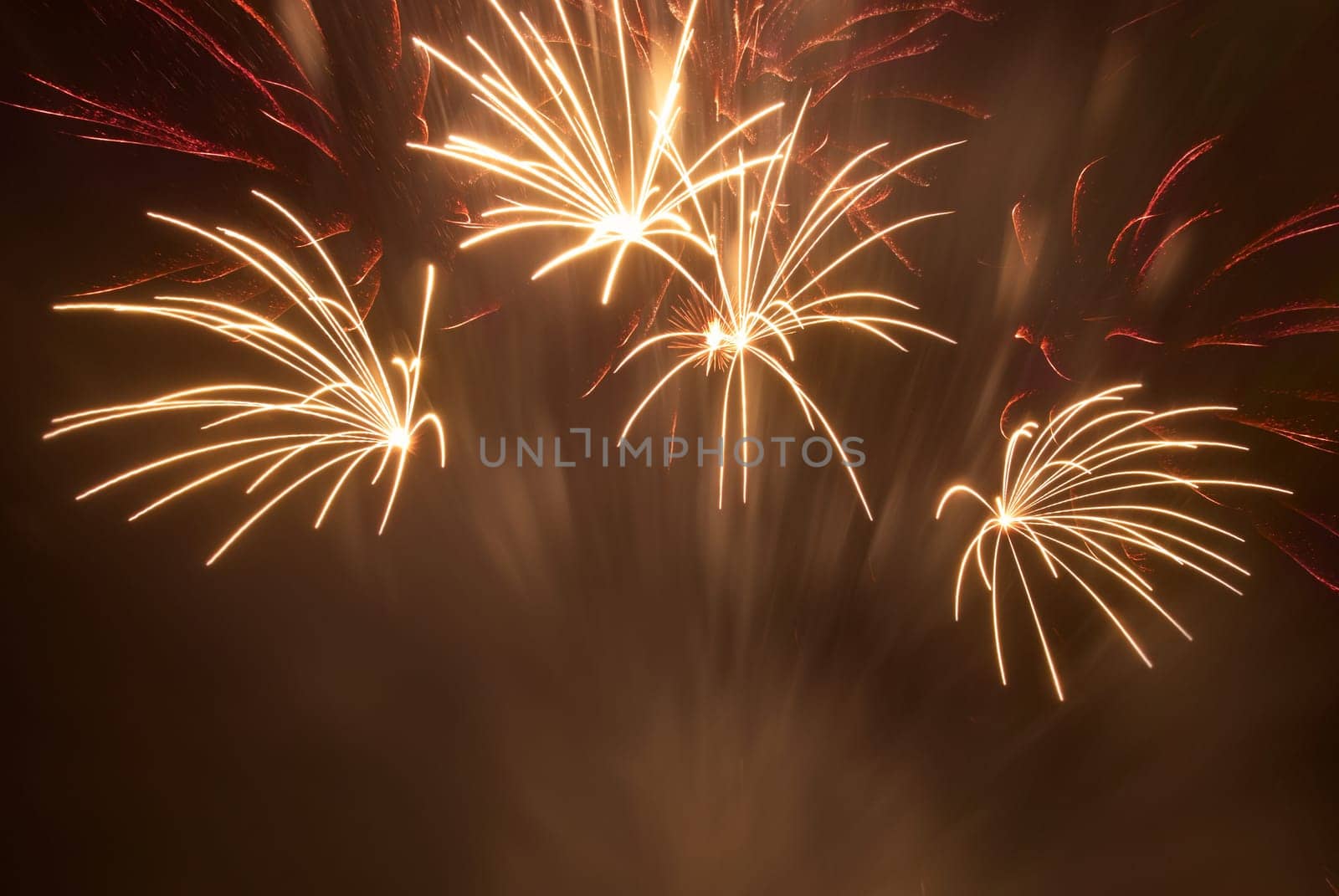 Beautiful red fireworks on the black sky background