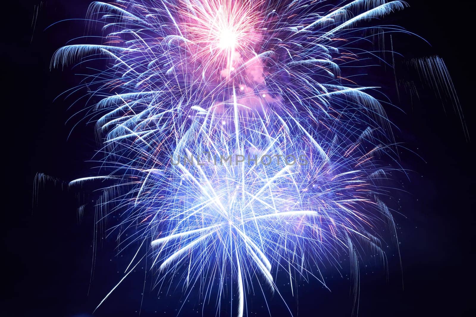 Blue colorful fireworks on the black sky background