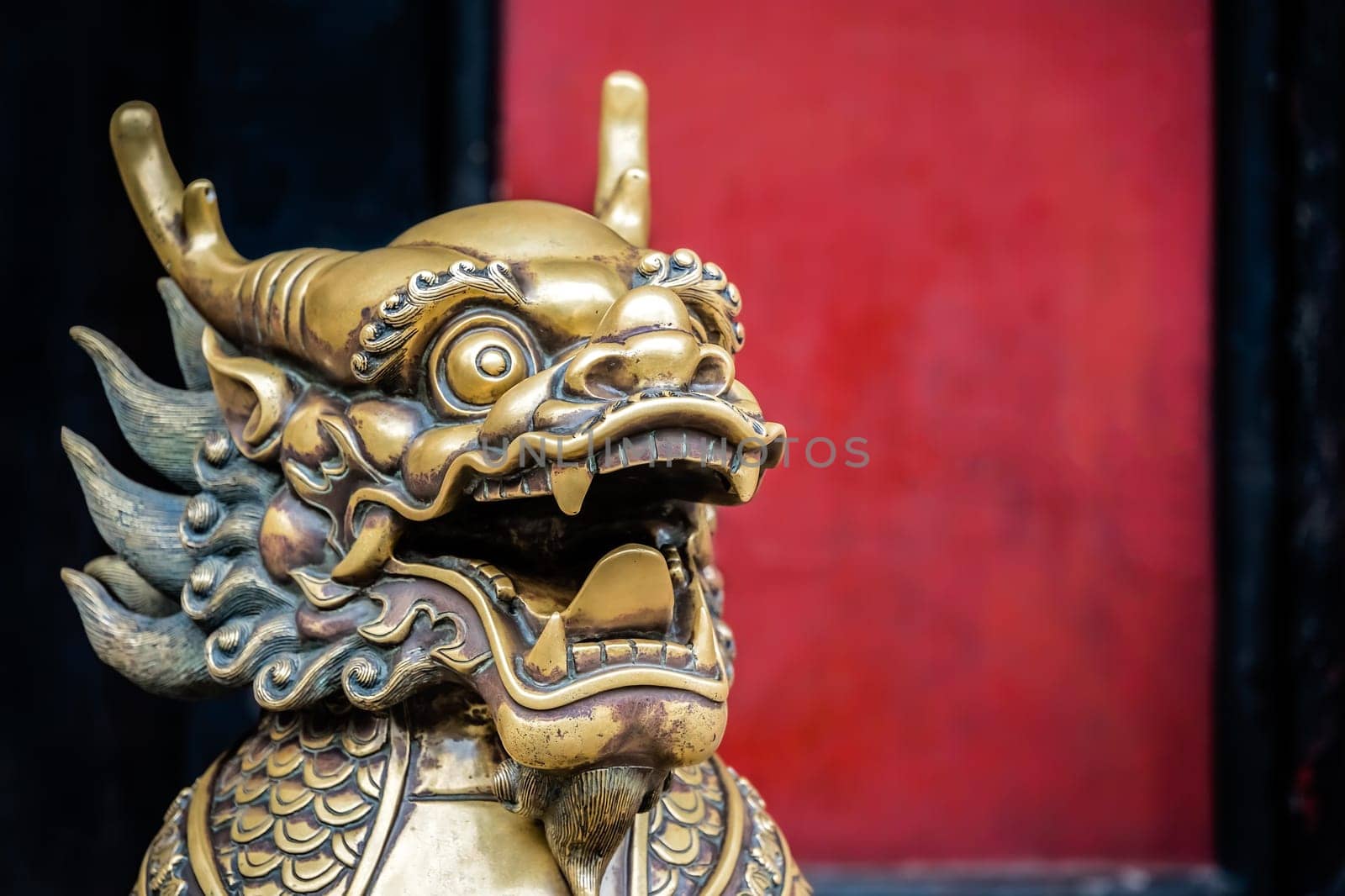 Statue of mystical Chinese golden brass guardian lion on red wall background in the courtyard of the Buddhist Wenshu Temple Monastery, Chengdu, Sichuan Province, China
