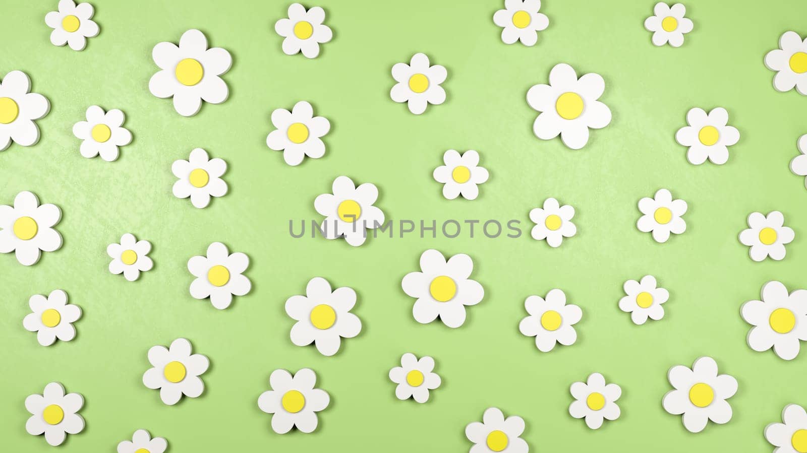 White Daisy Flower 3D Shapes on a Green Background 3D Illustration