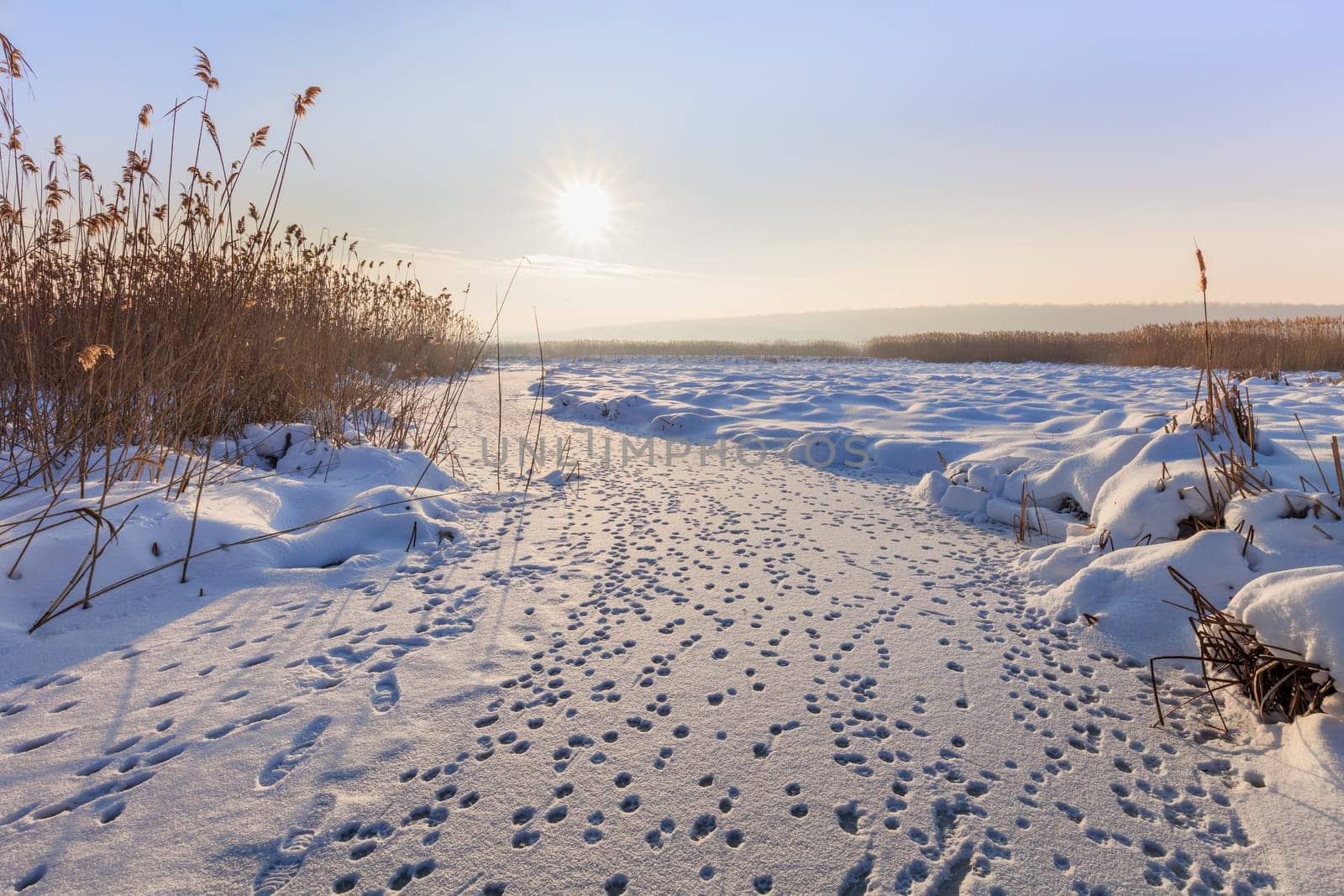 lake in winter. Location: Comana Natural Park, Romania.