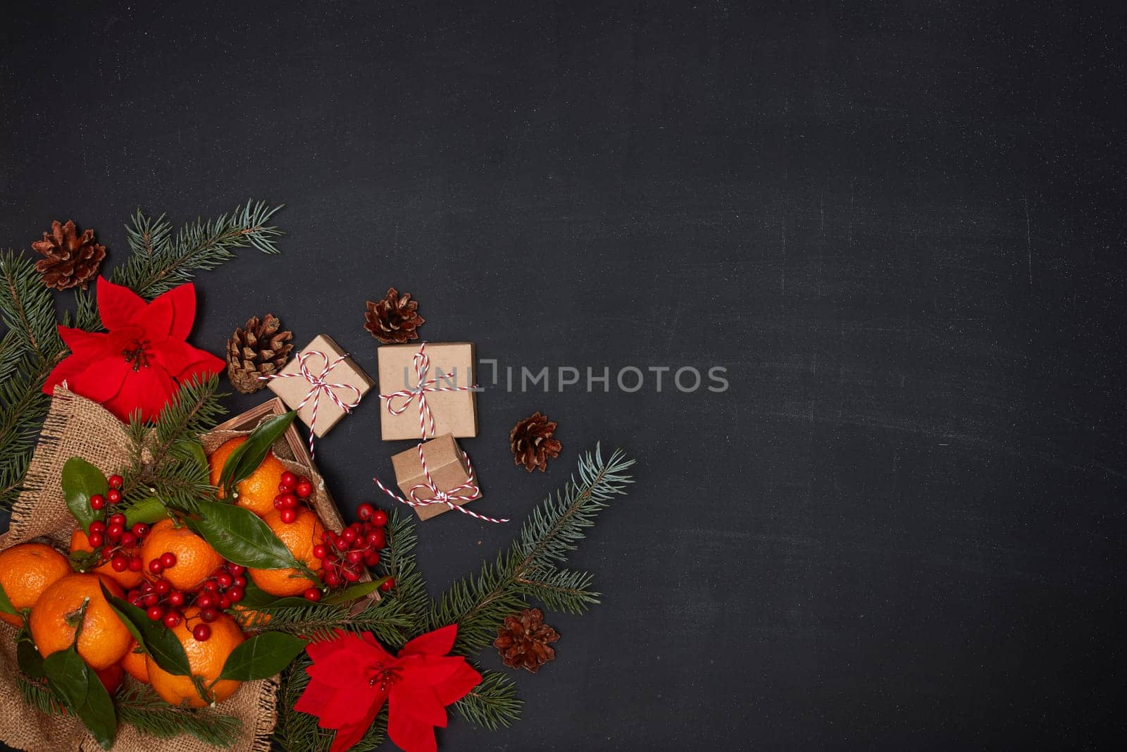 Festive still life: berries and mandarins with leaves lies on wooden tray, red flowers poinsettia, gift boxes and fir branches on dark background. Top view with copy space. Christmas. New Year