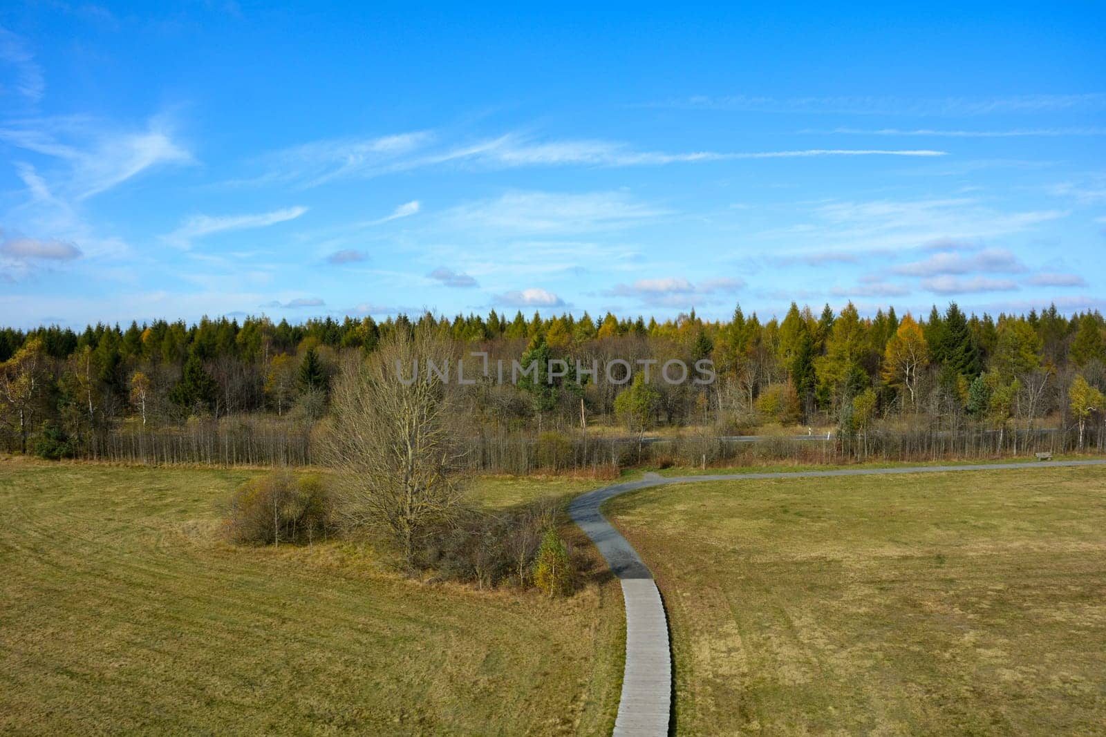 Green landscape from above, a path in the middle, with big meadow, trees and blue sky in the Rhön, Bavaria, Germany