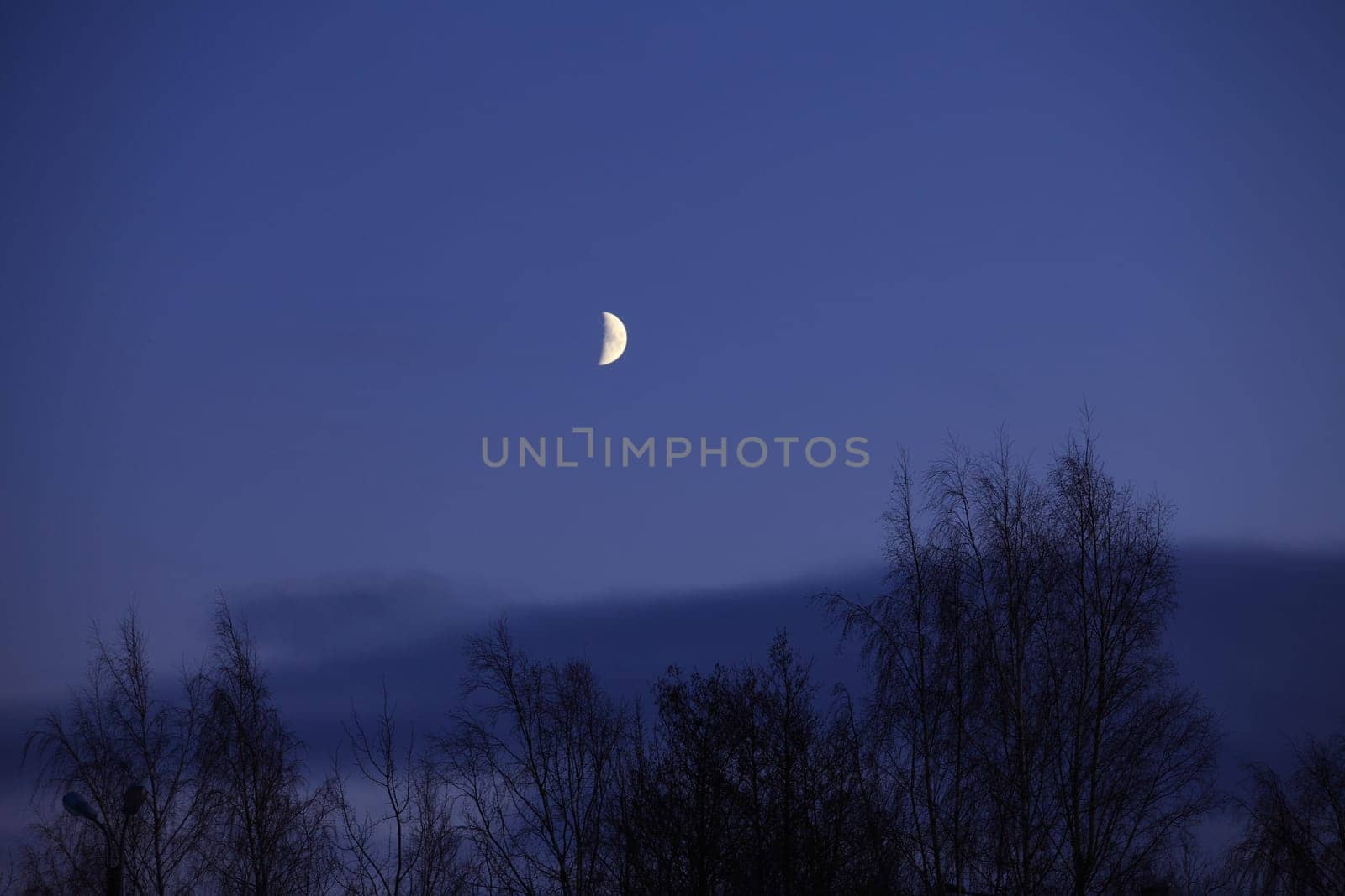 rising month in thenightly sky