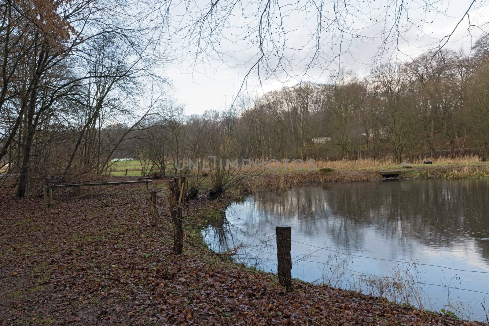 the volksdorfer pond meadows in winter hamburg germany