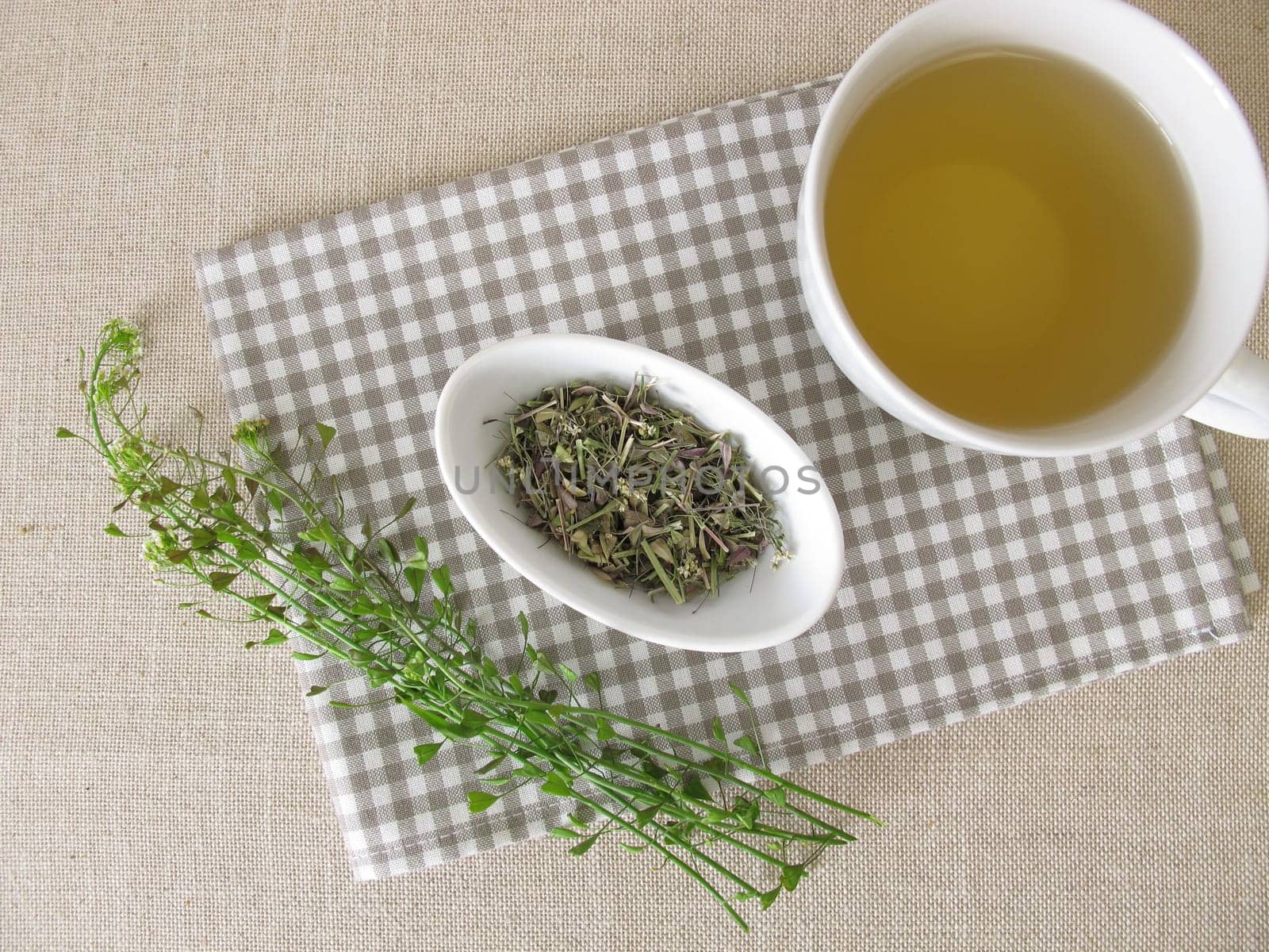 A cup of shepherds purse herbal tea